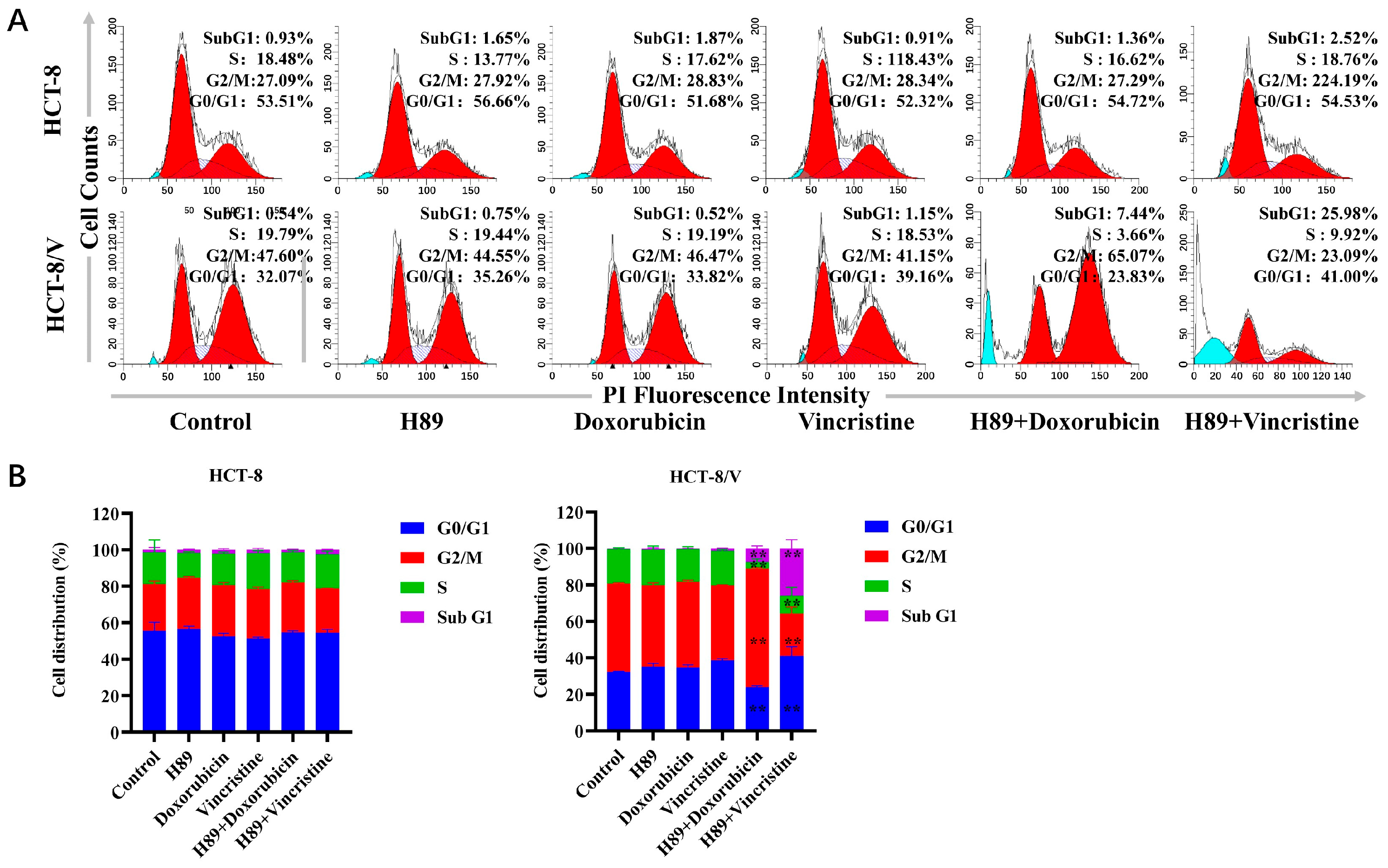 Biomedicines 13 02869 g002