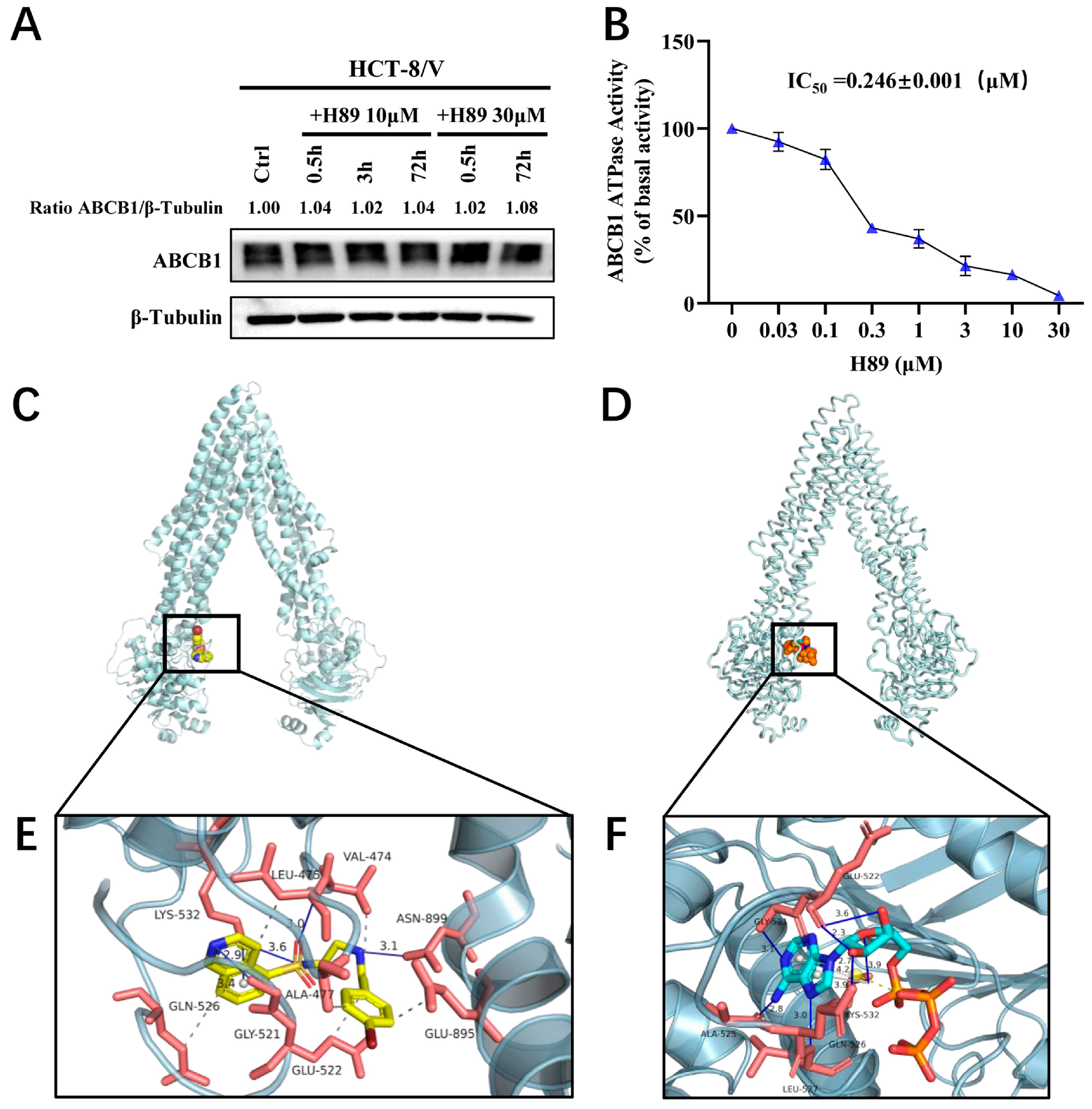 Biomedicines 13 02869 g004