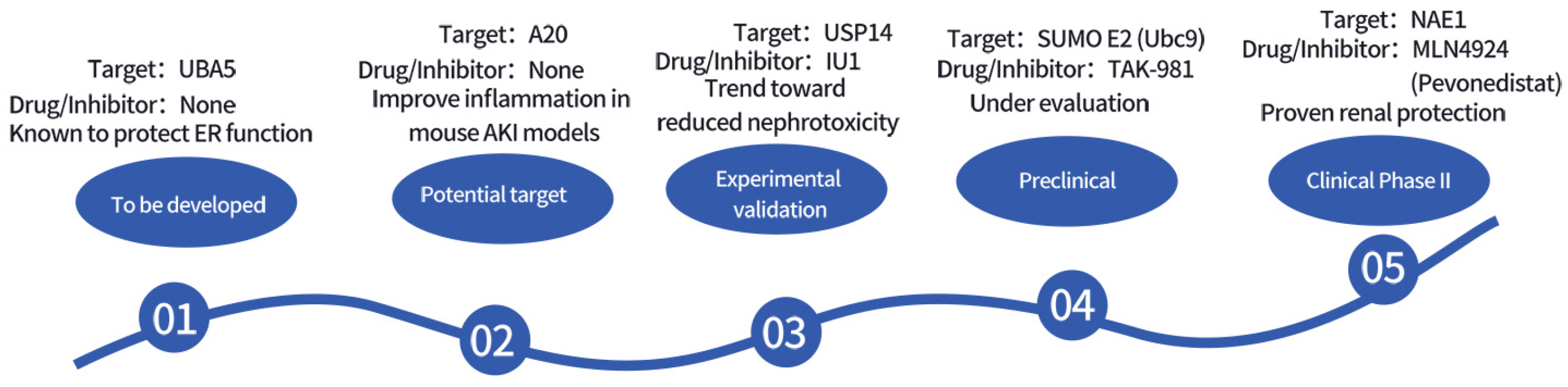 Biomedicines 13 02873 g003