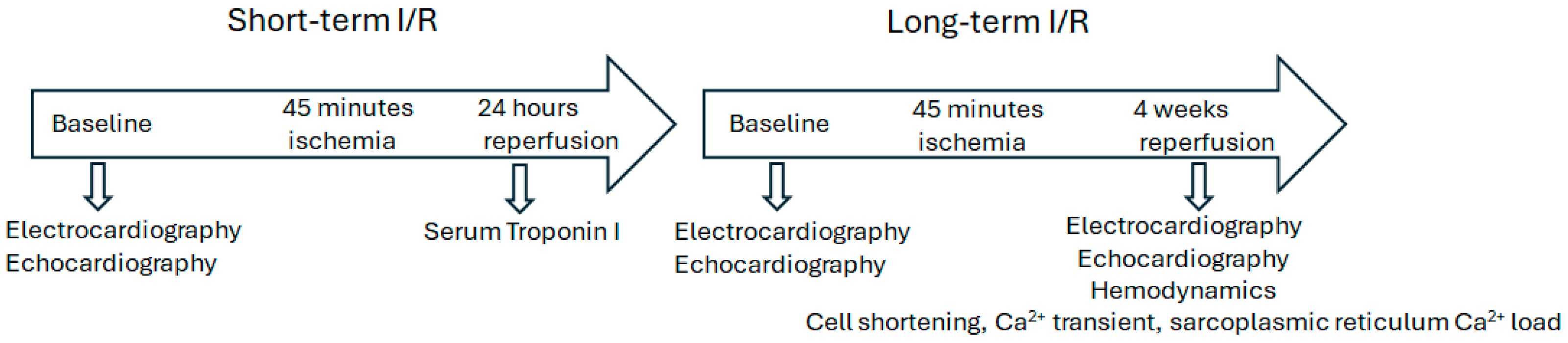 Biomedicines 13 02874 g001