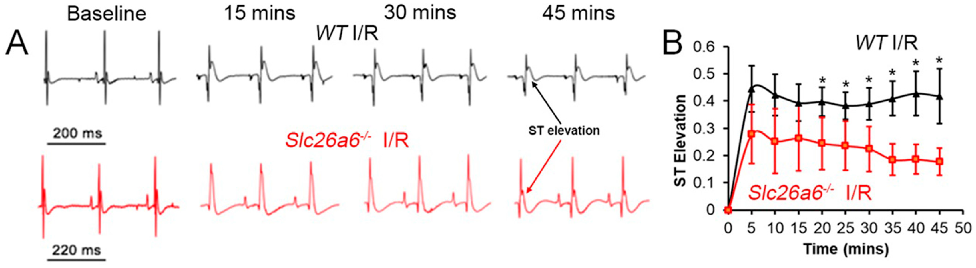 Biomedicines 13 02874 g002