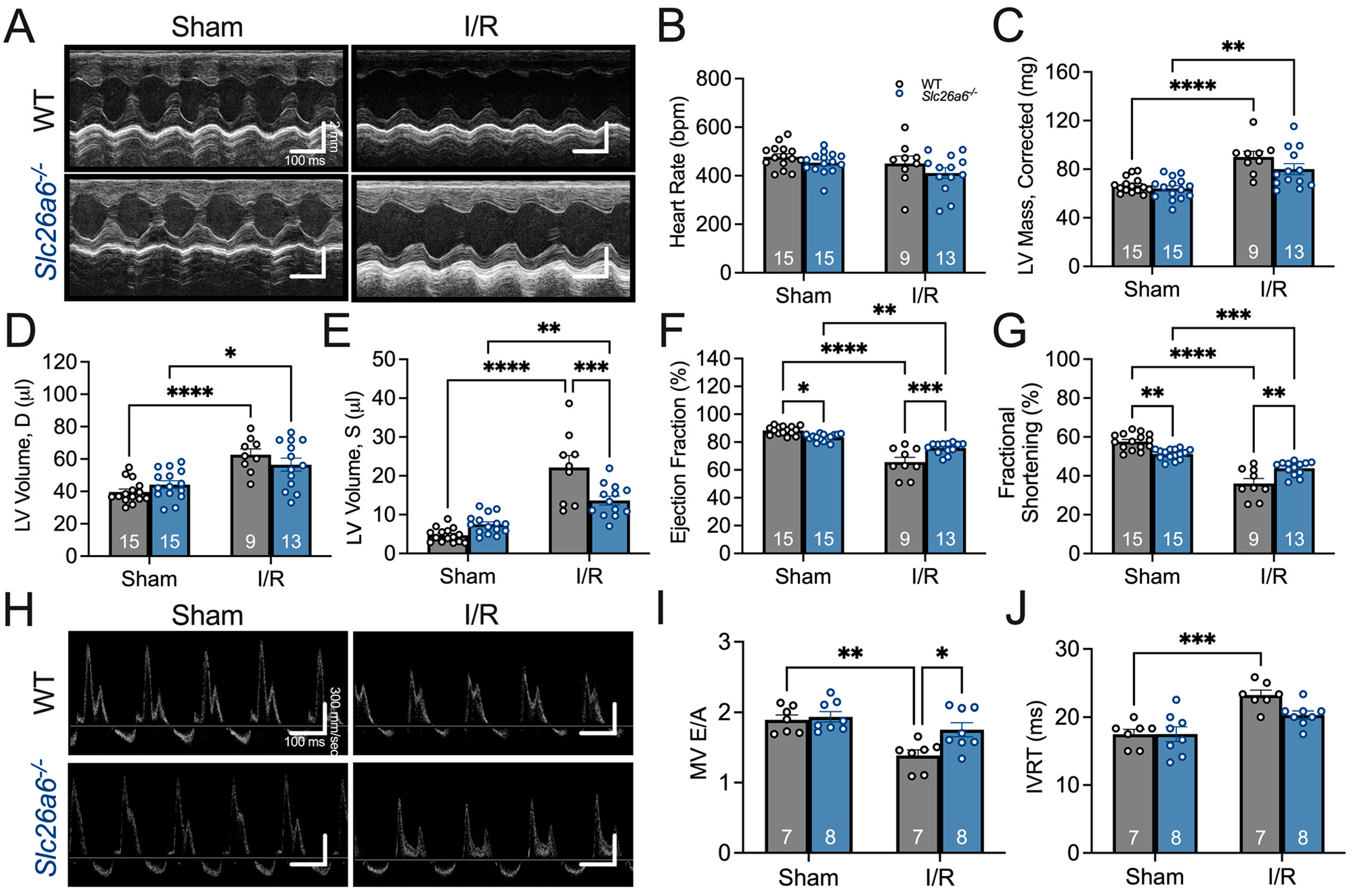 Biomedicines 13 02874 g004