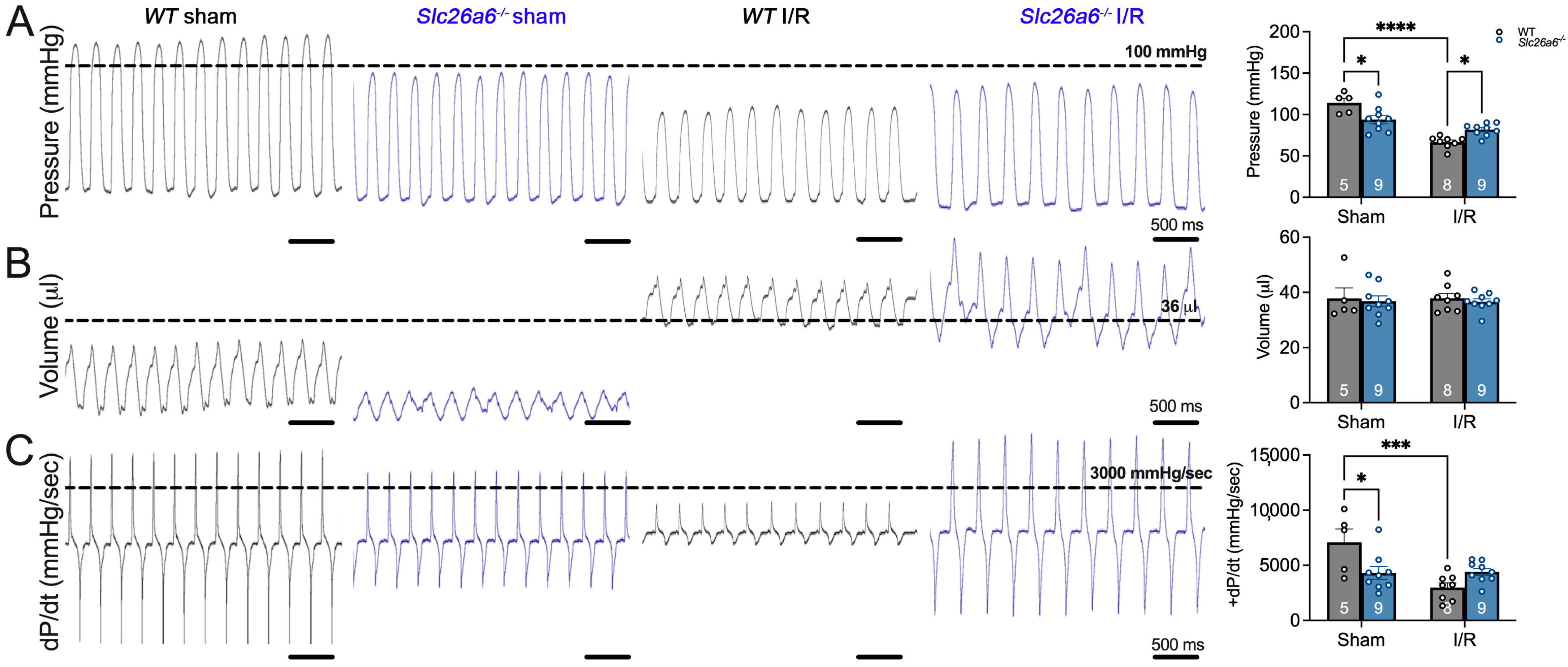 Biomedicines 13 02874 g005