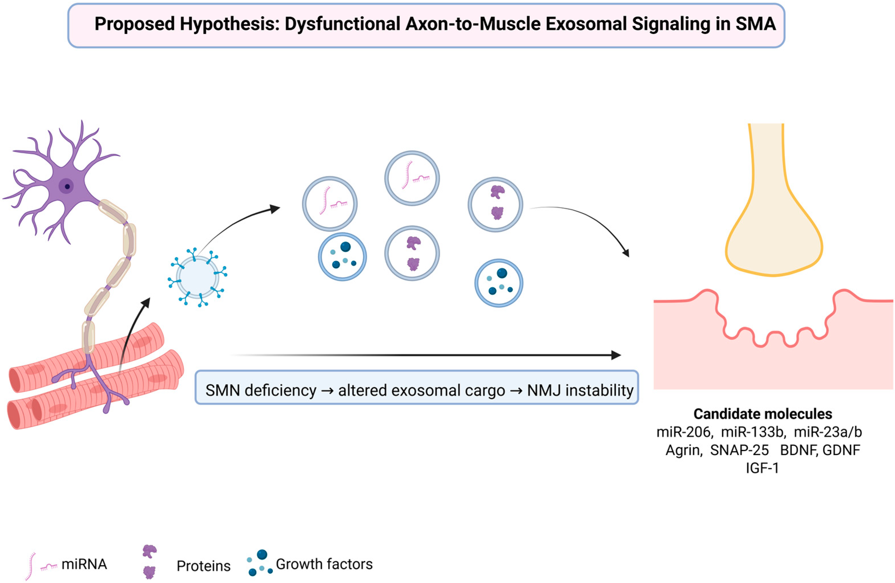 Biomedicines 13 02876 g001
