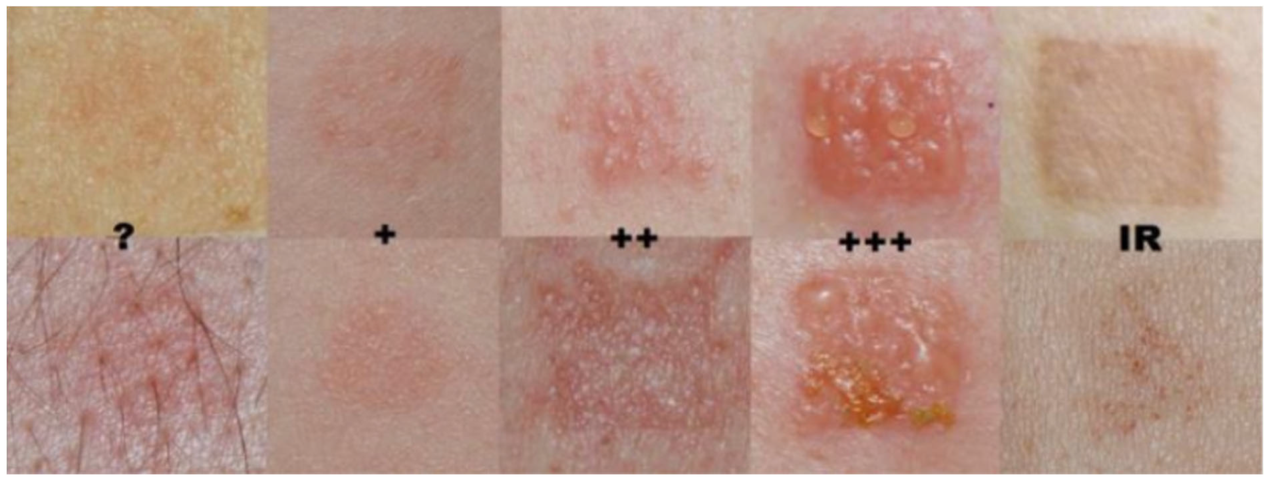 Biomedicines 13 02878 g001