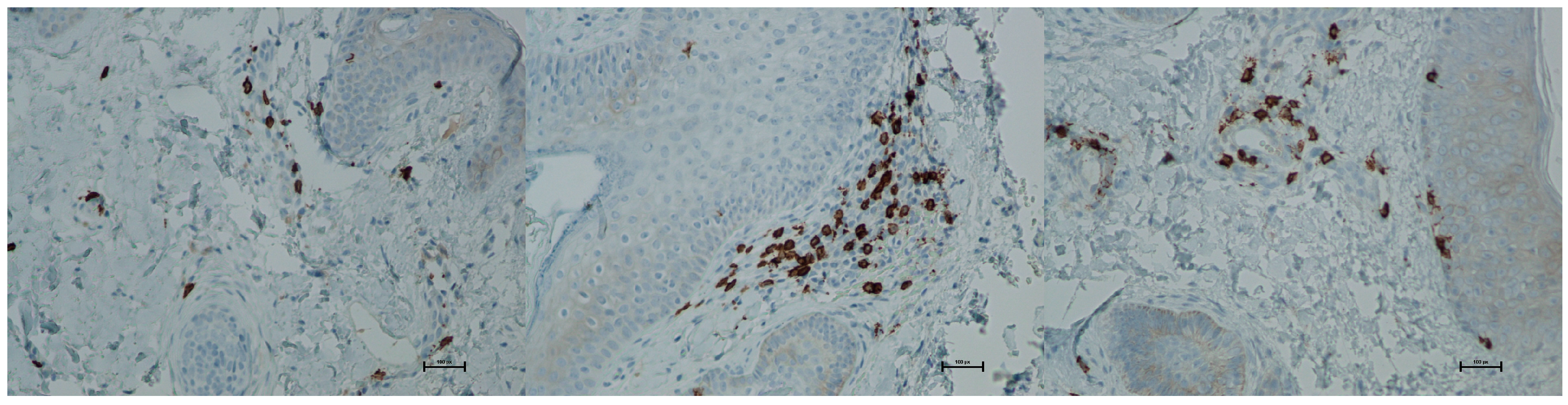 Biomedicines 13 02878 g016