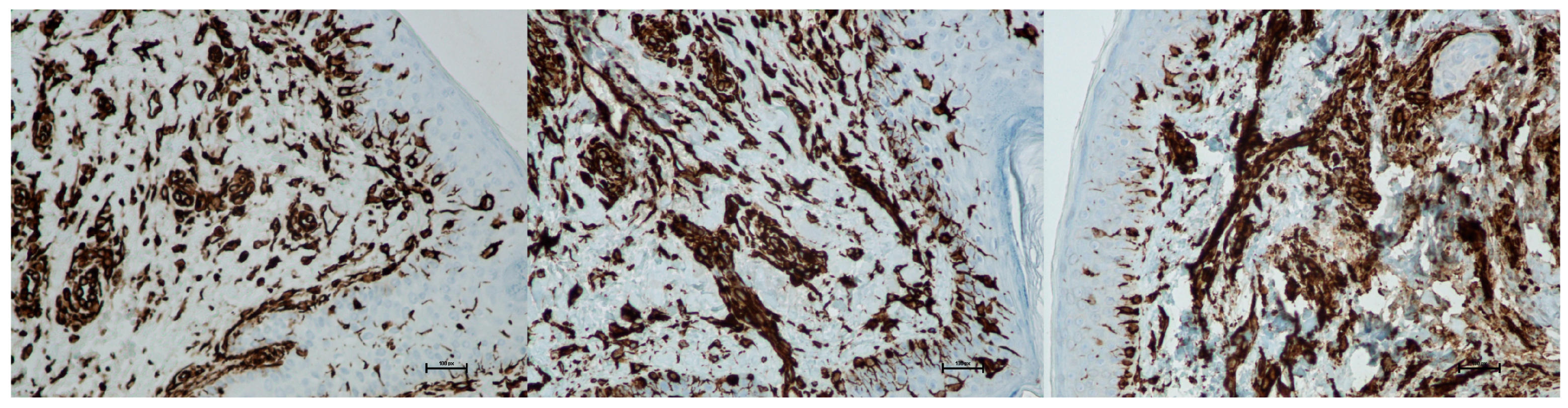 Biomedicines 13 02878 g022