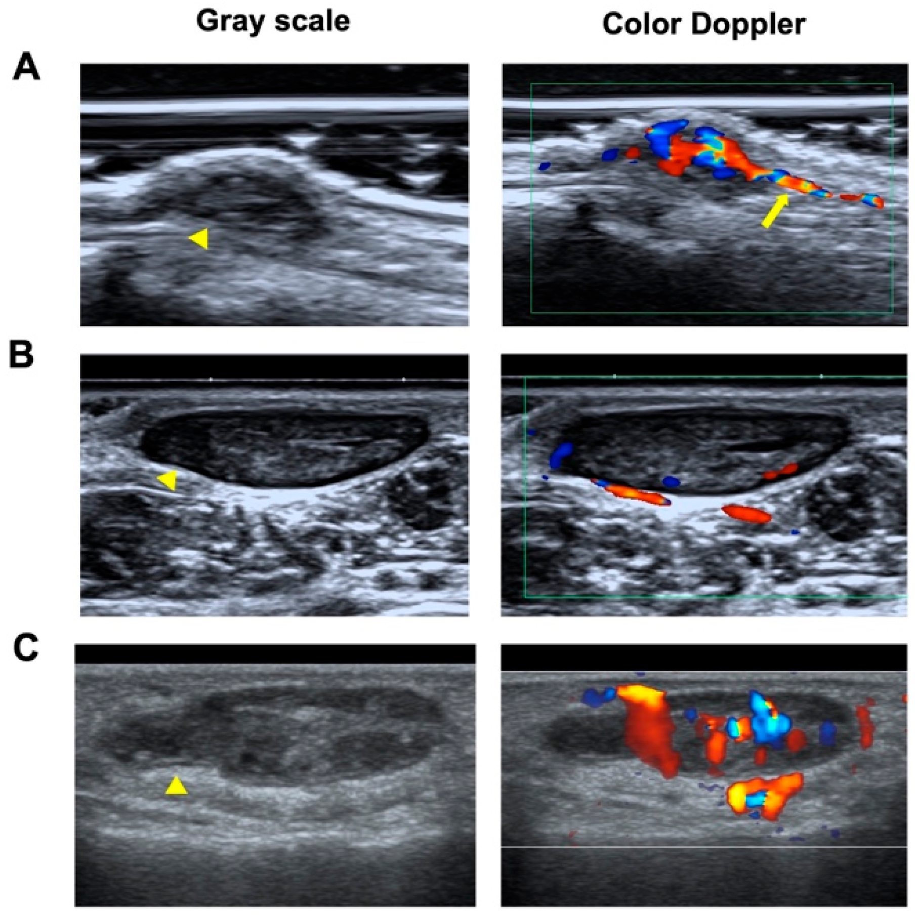 Biomedicines 13 02883 g001