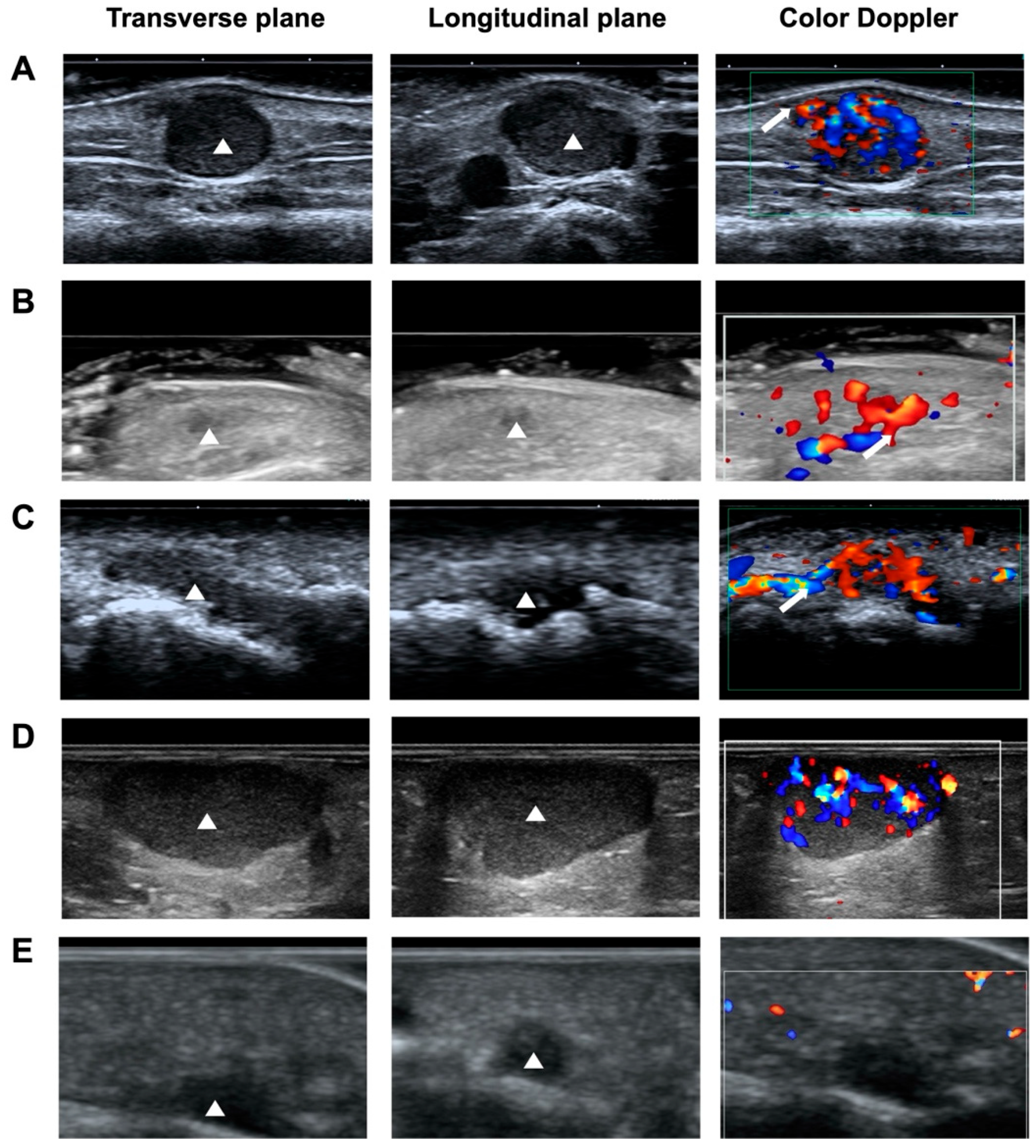 Biomedicines 13 02883 g0a1