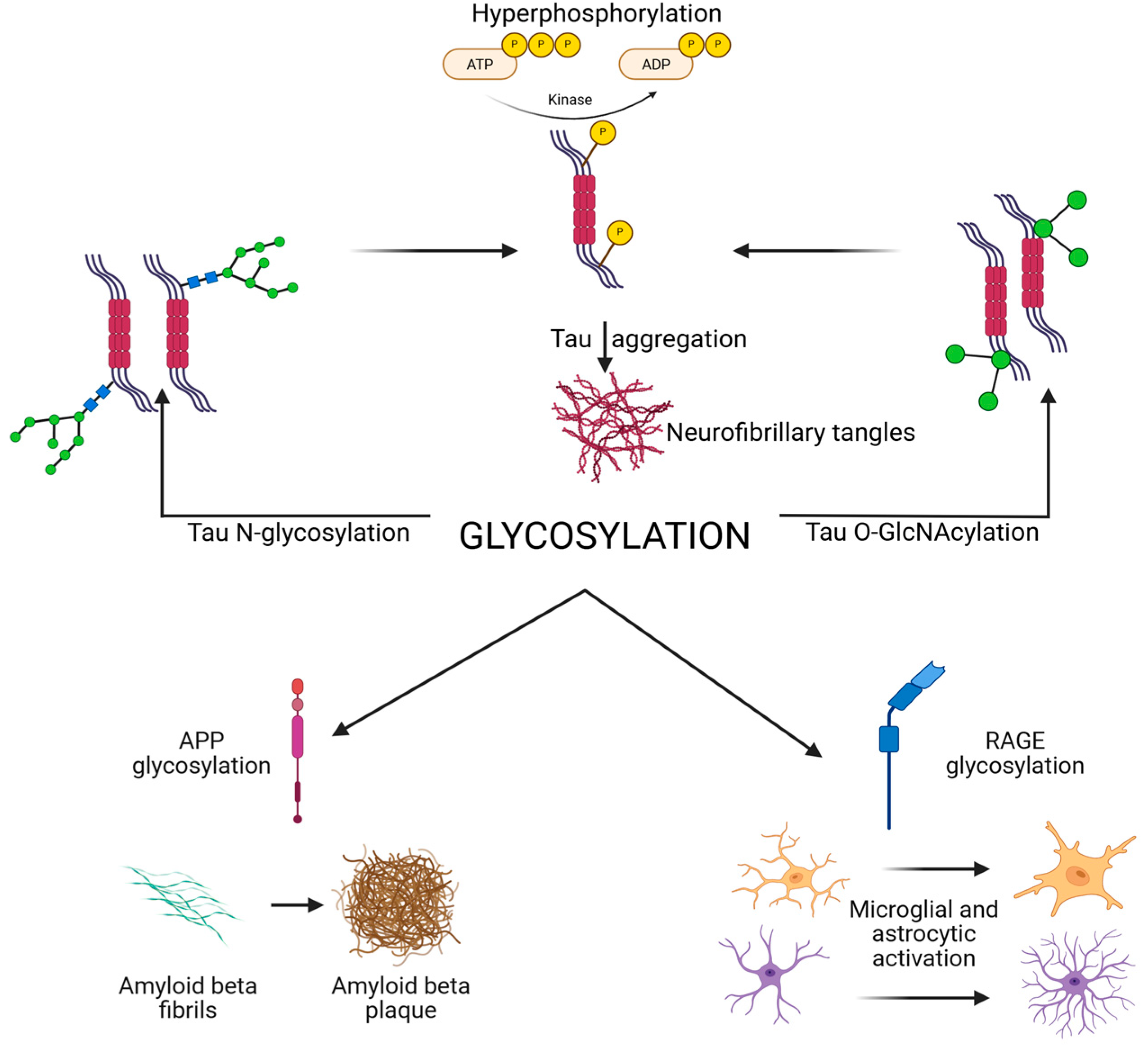 Biomedicines 13 02884 g001