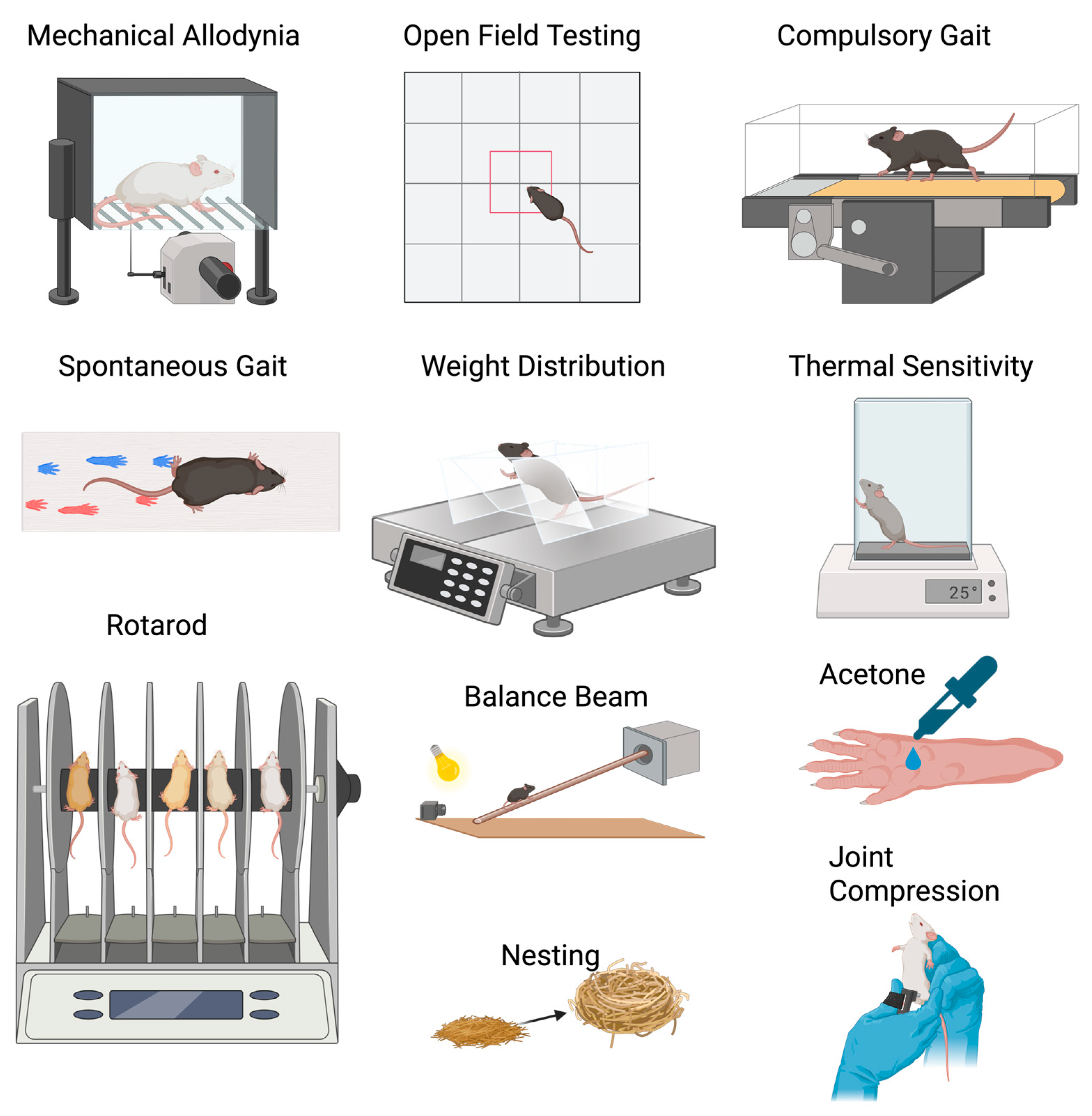 Biomedicines 13 02886 g003