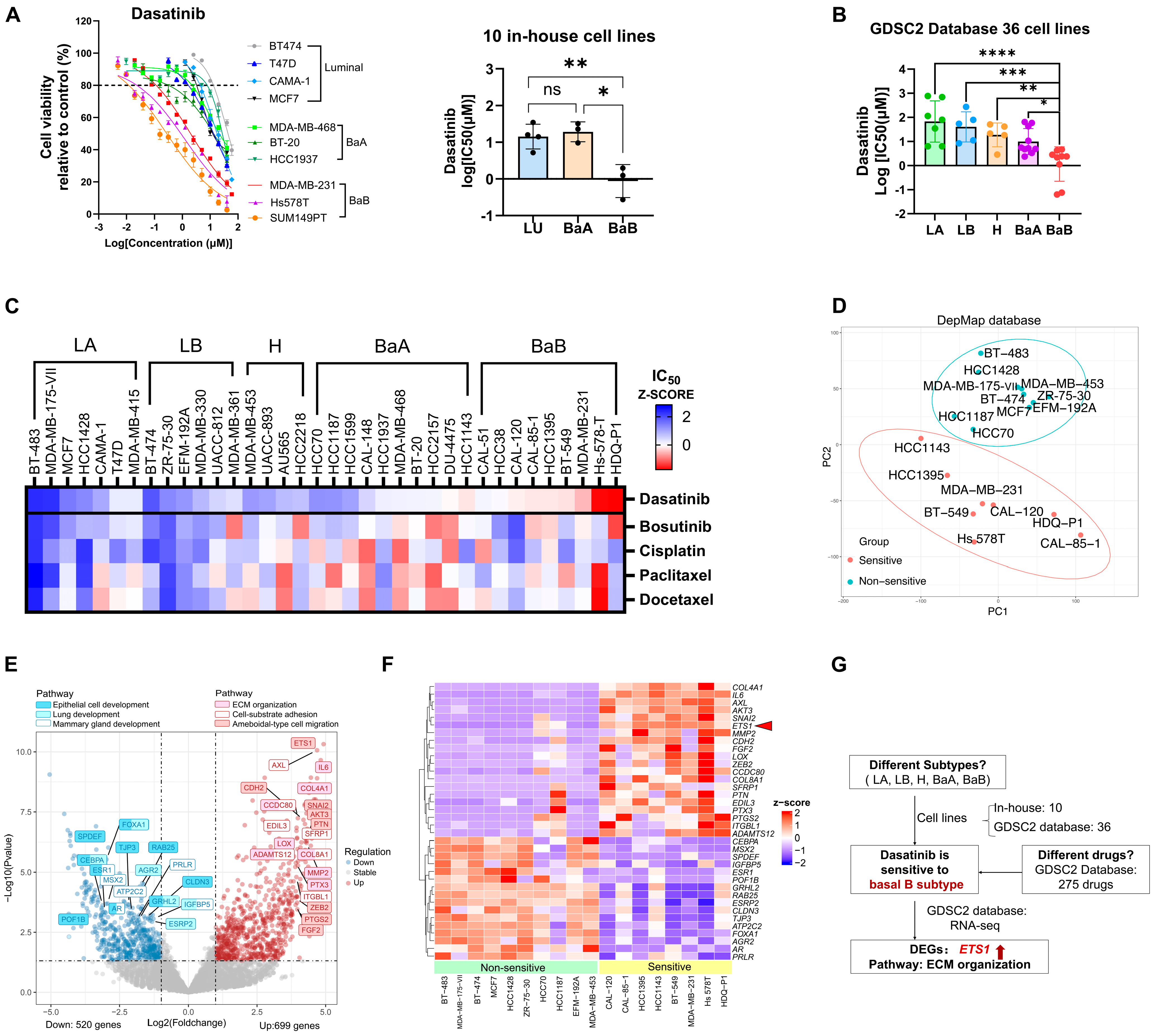 Biomedicines 13 02888 g004