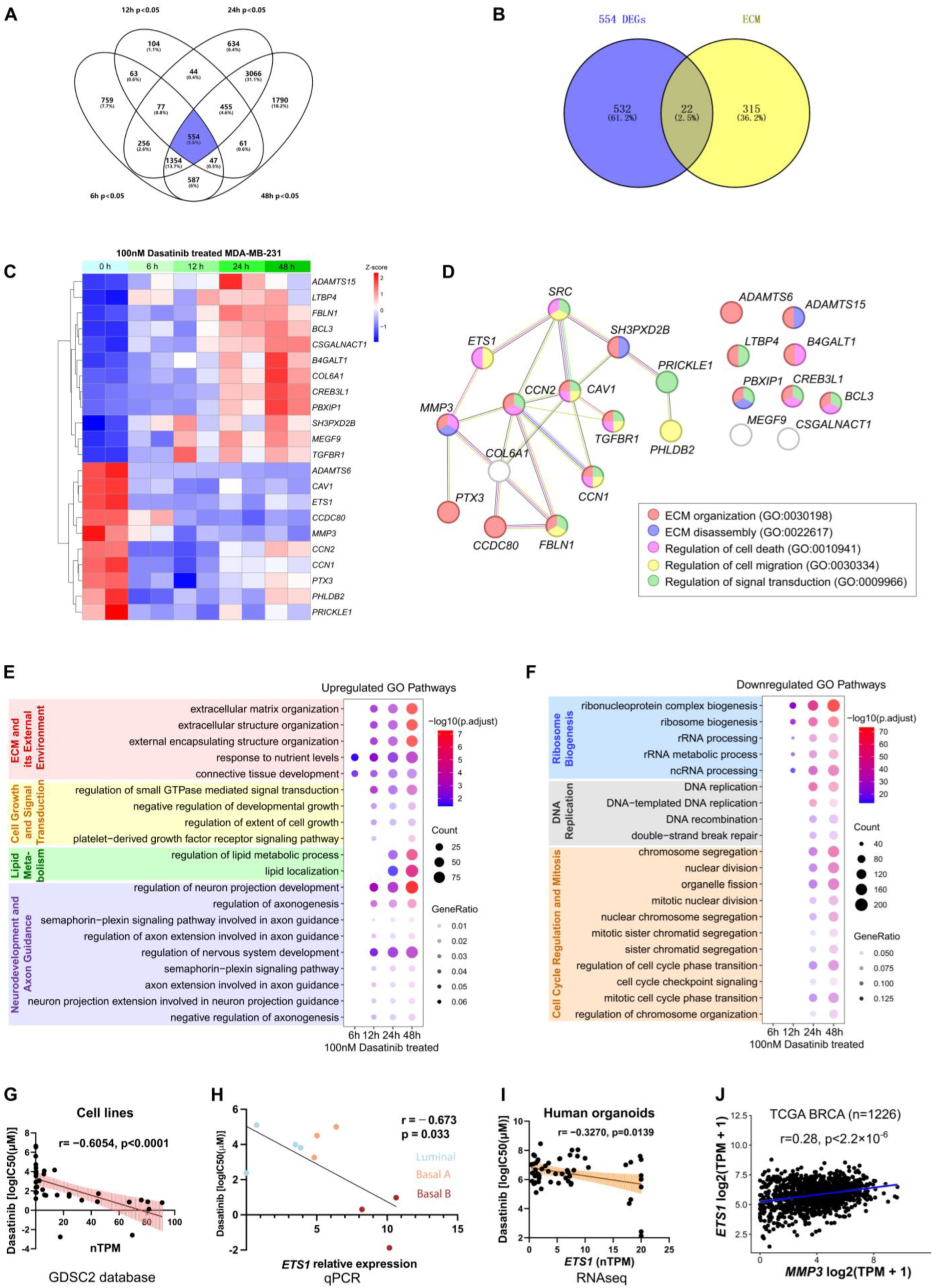 Biomedicines 13 02888 g005
