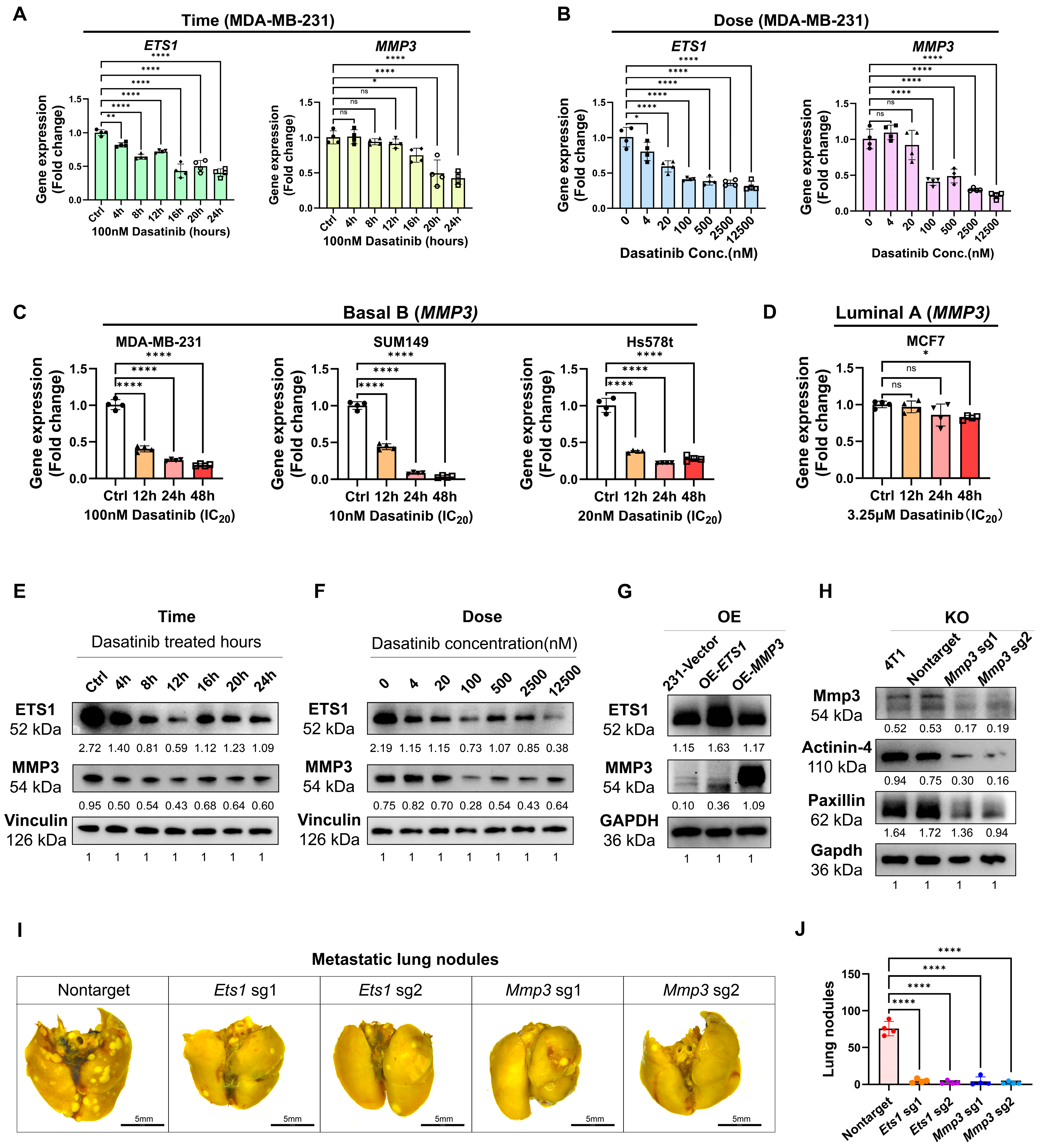 Biomedicines 13 02888 g006