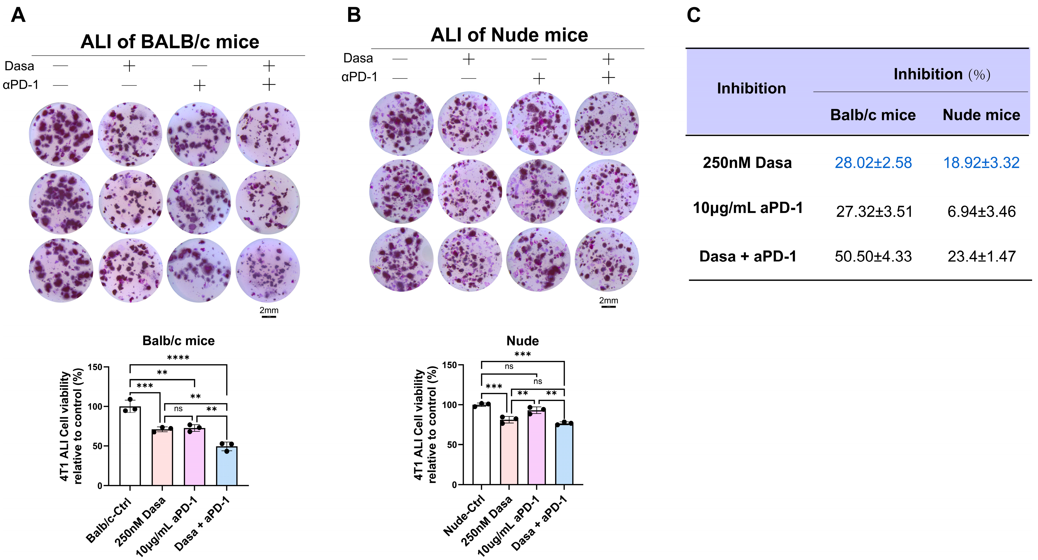 Biomedicines 13 02888 g007