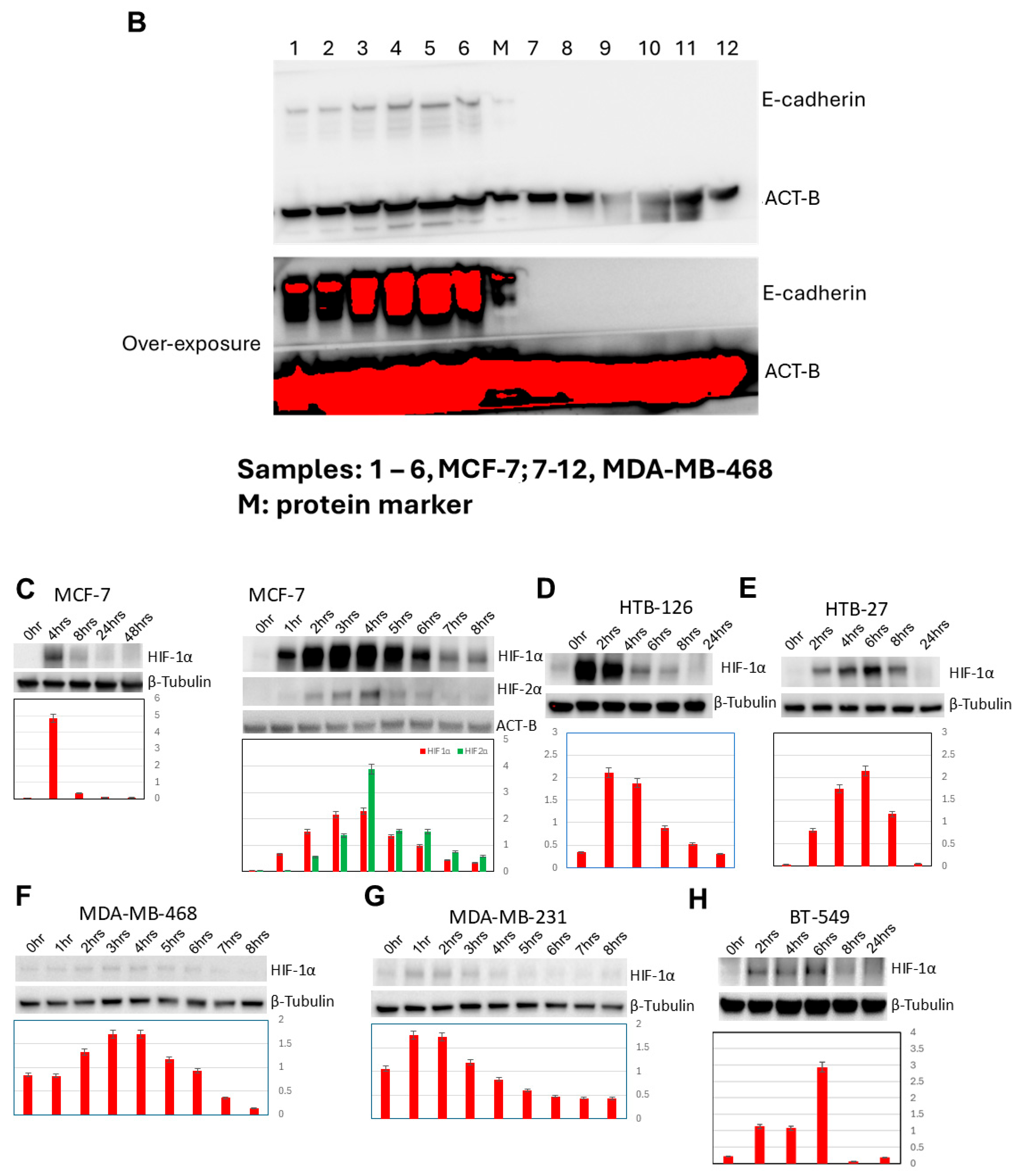 Biomedicines 13 02890 g002b