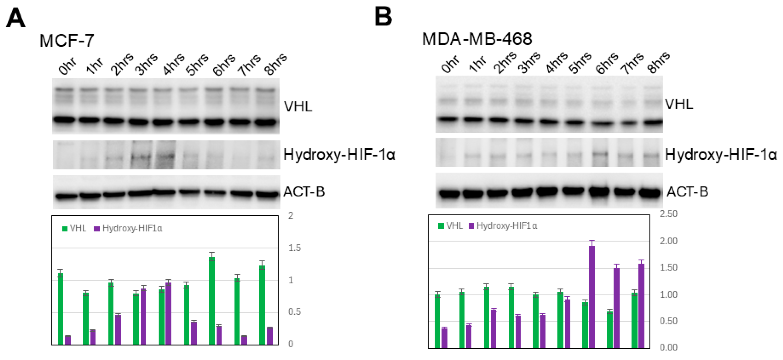 Biomedicines 13 02890 g003