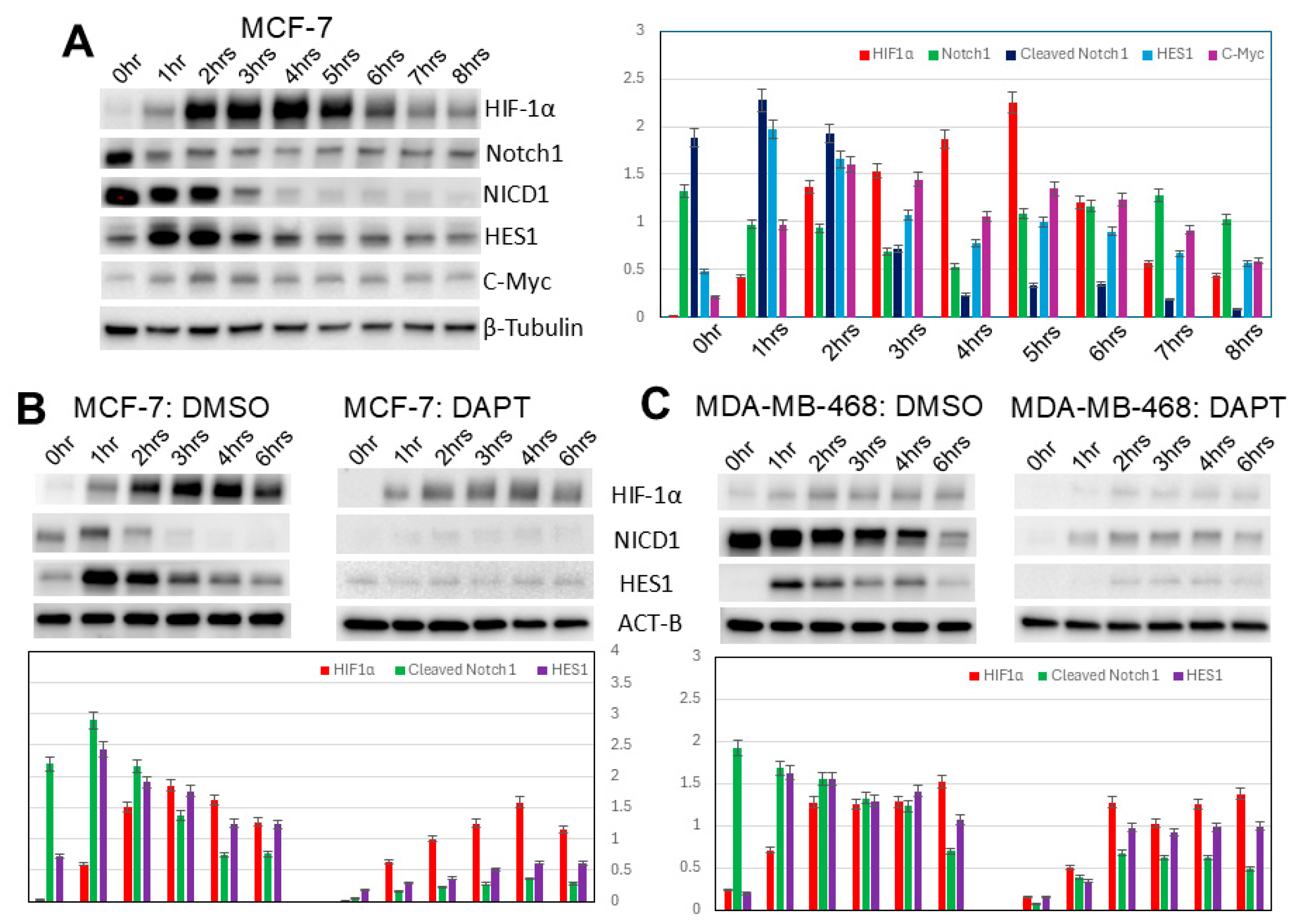 Biomedicines 13 02890 g004