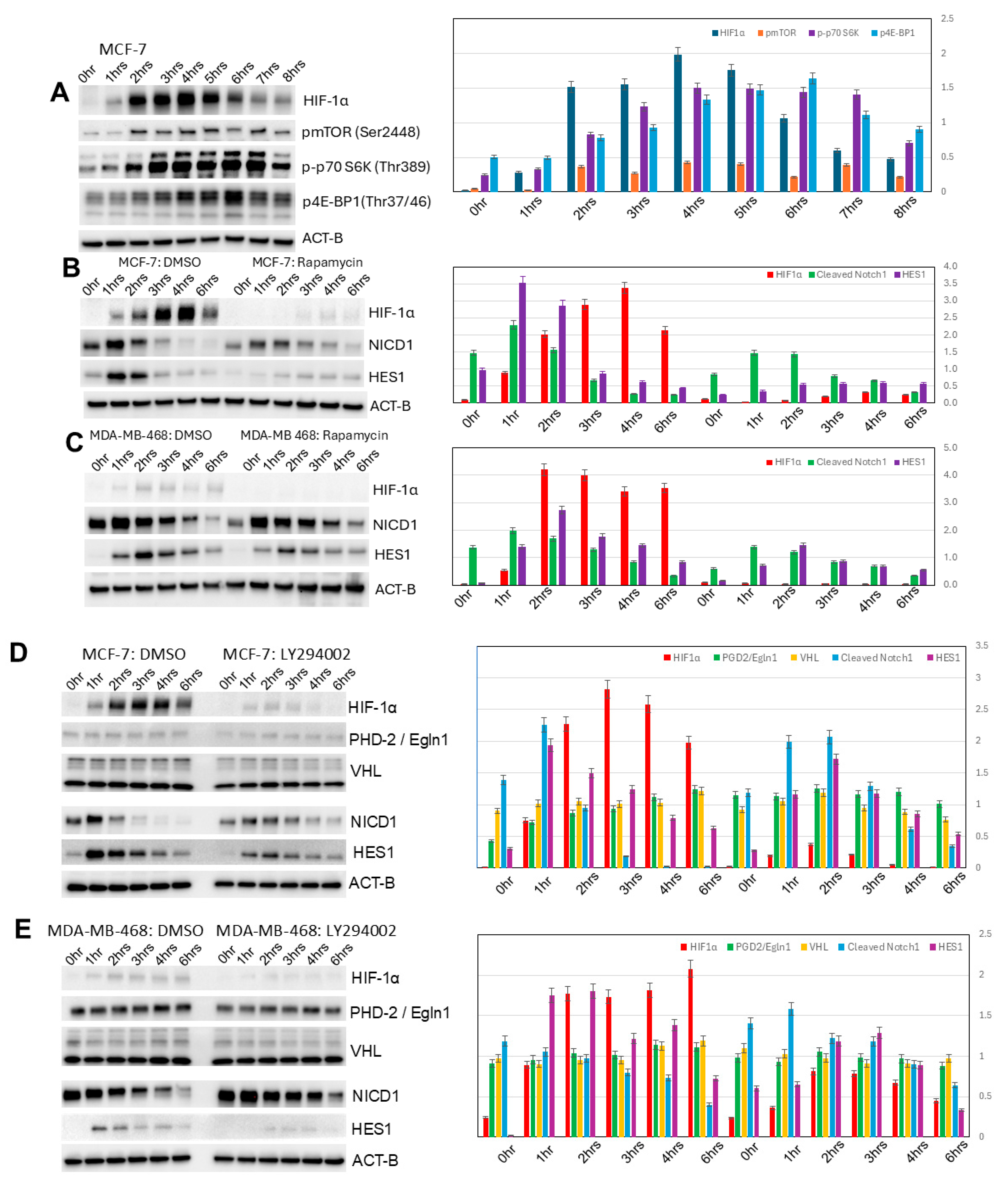Biomedicines 13 02890 g005