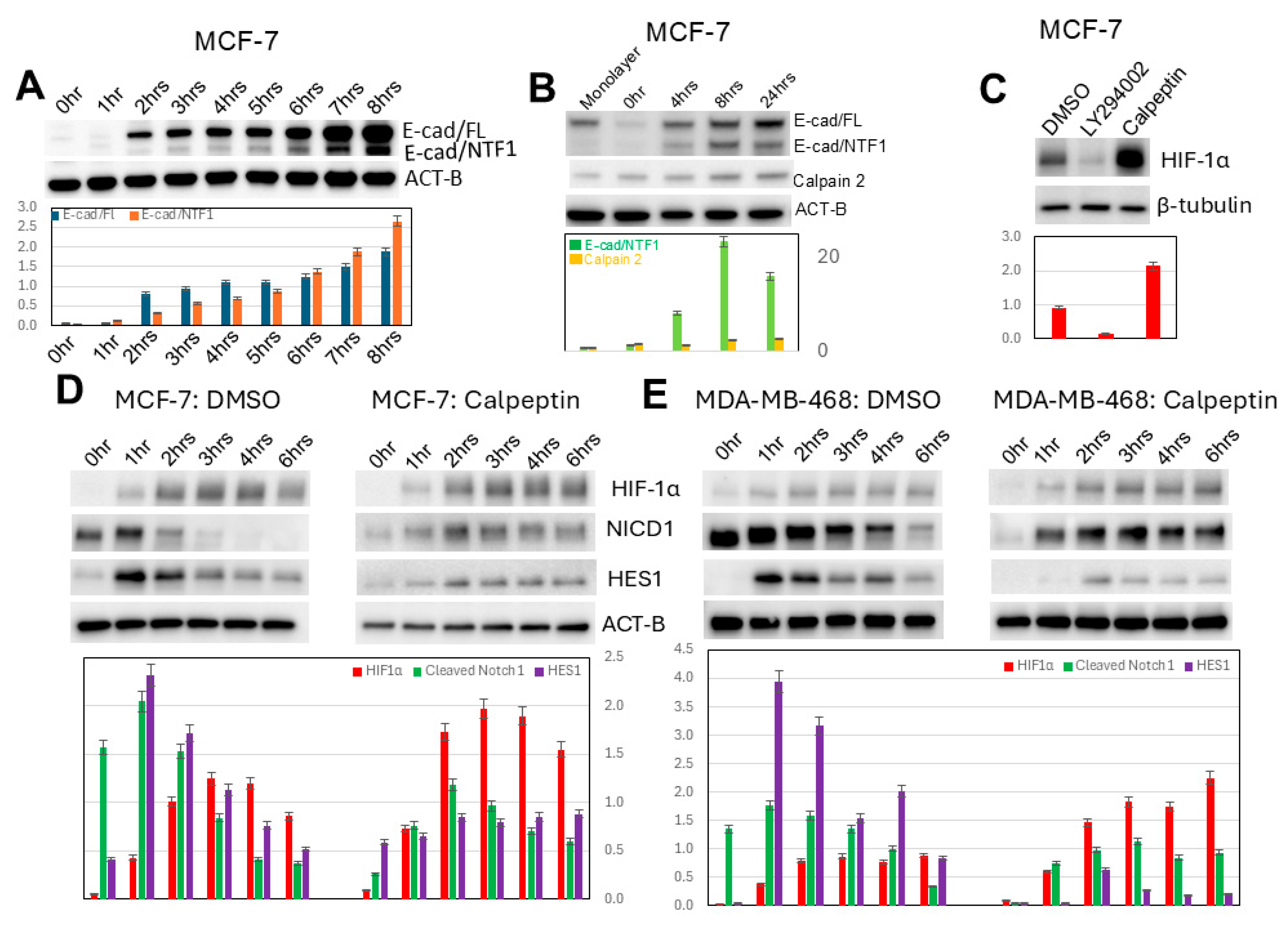 Biomedicines 13 02890 g007