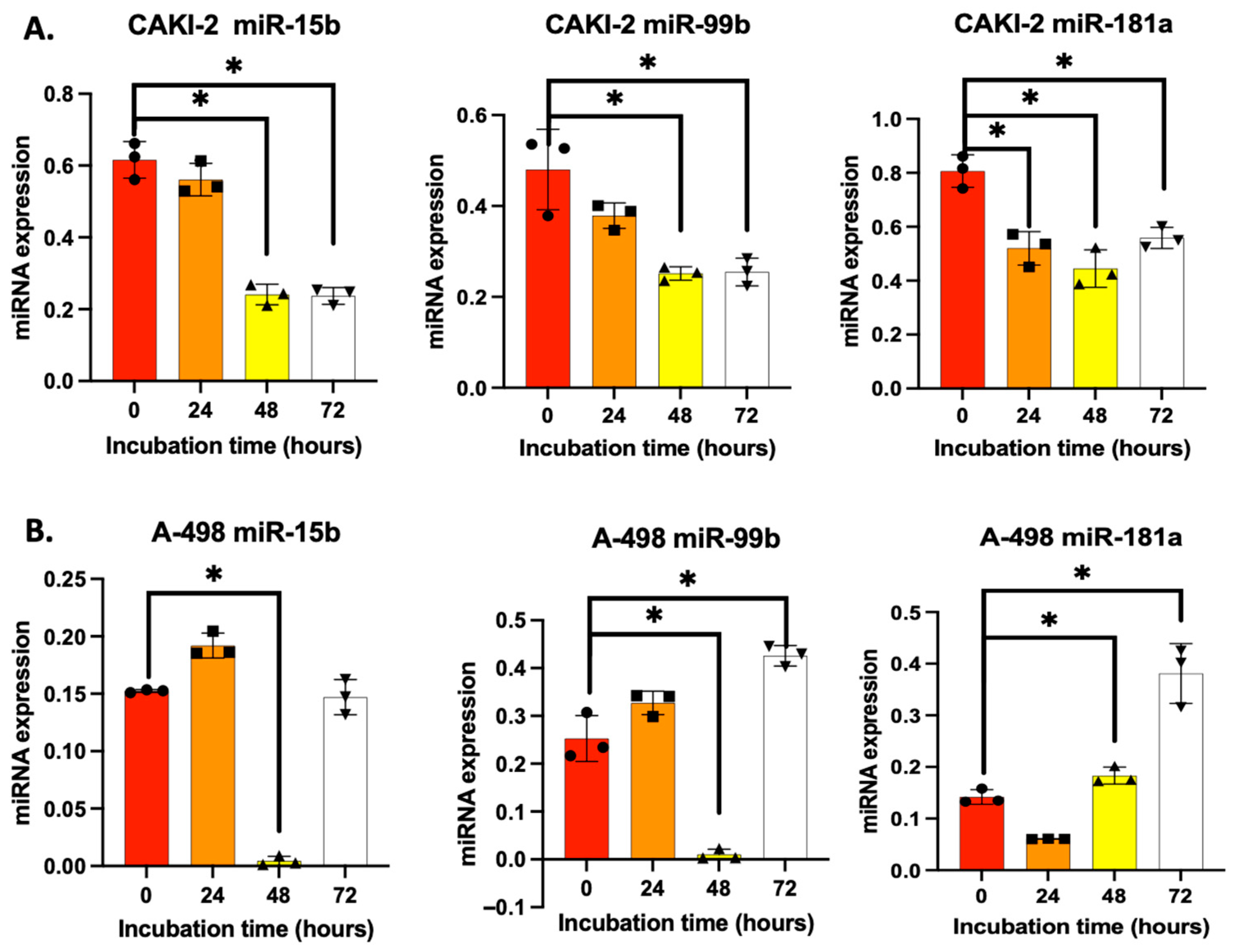 Biomedicines 13 02898 g001