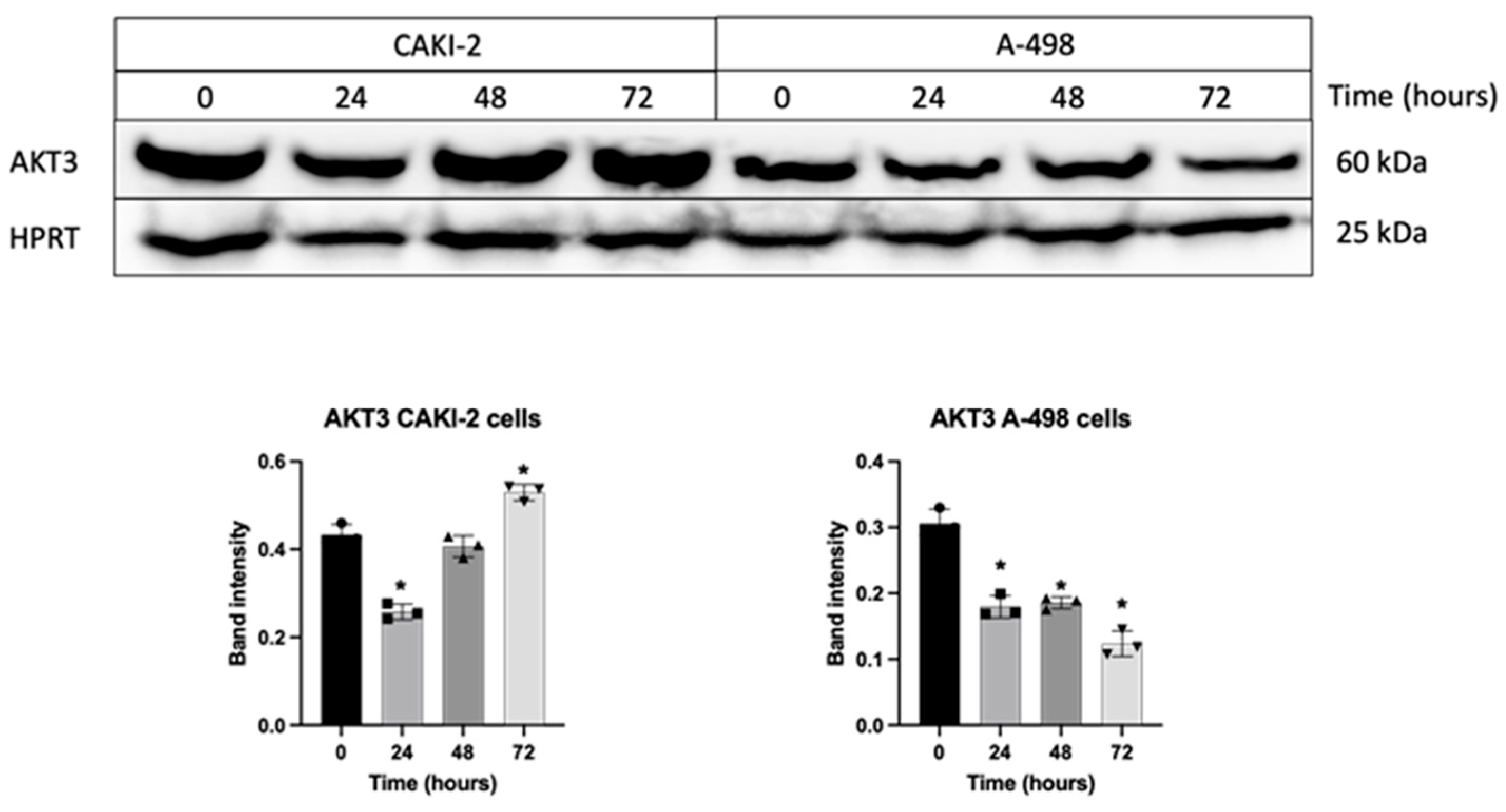 Biomedicines 13 02898 g006