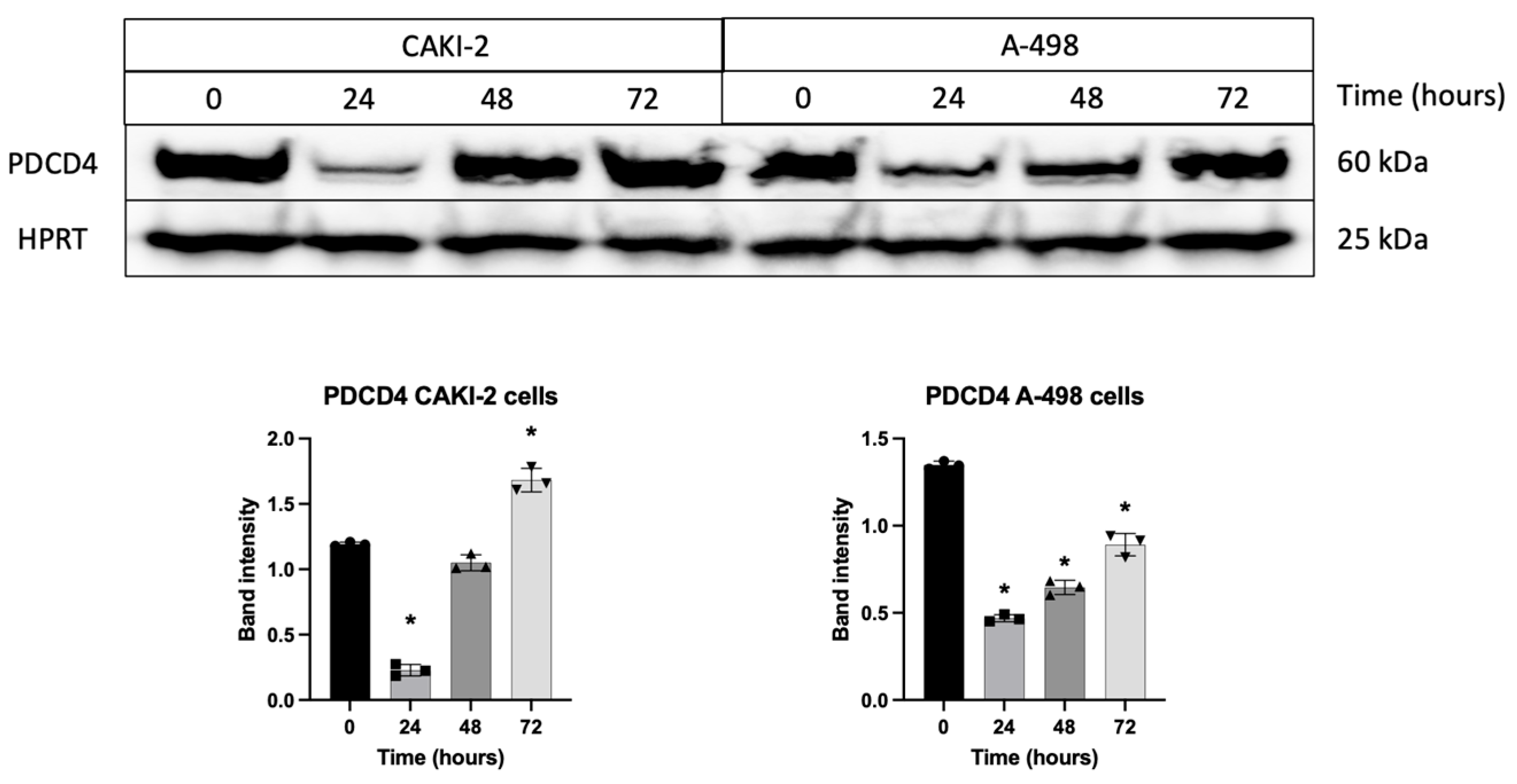 Biomedicines 13 02898 g008