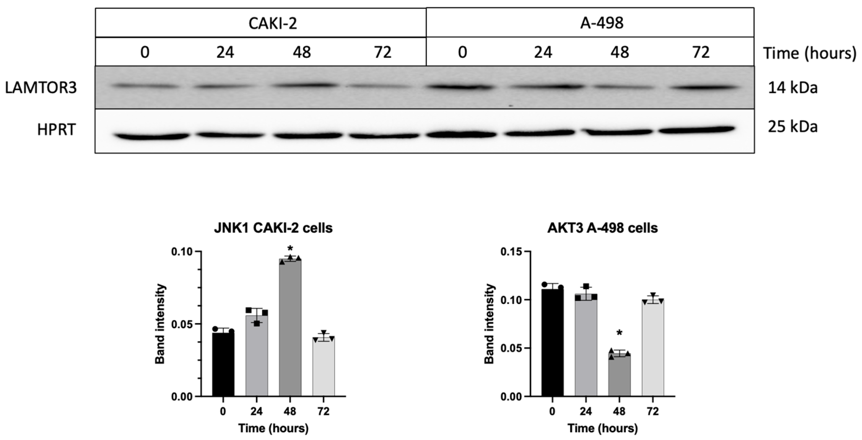 Biomedicines 13 02898 g010