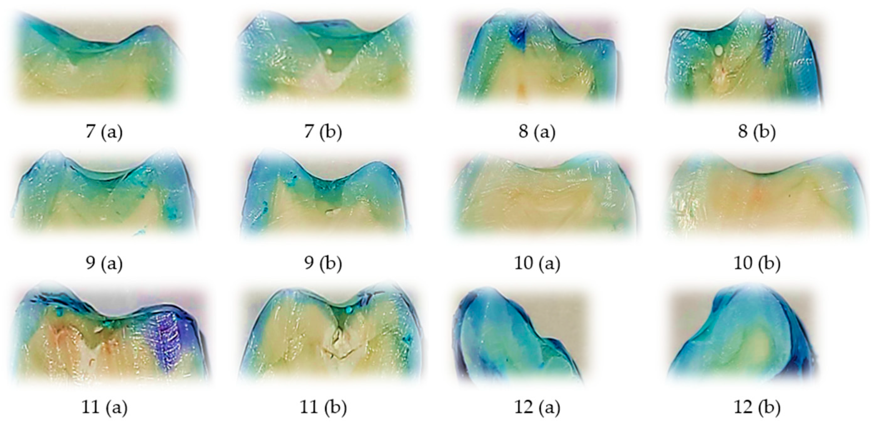 Biomedicines 13 02902 g002