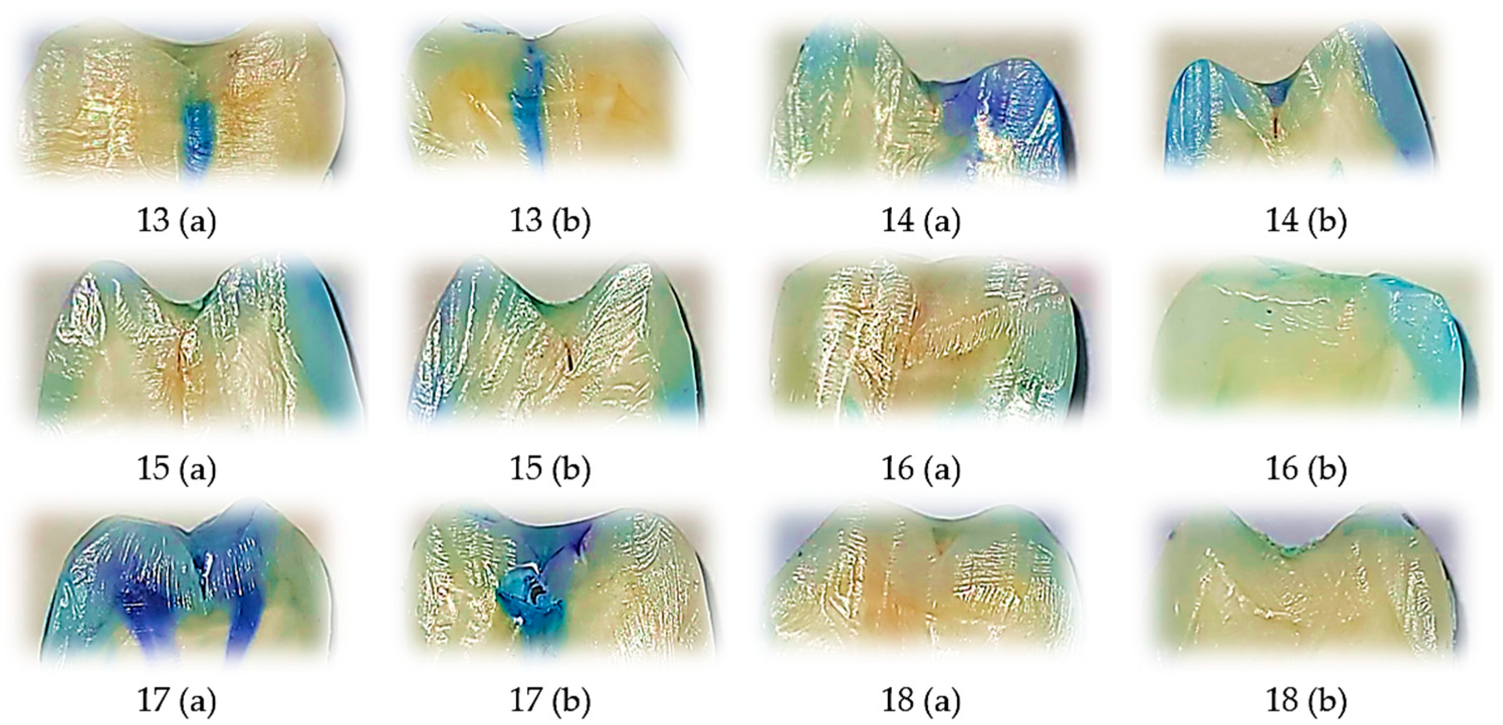 Biomedicines 13 02902 g003