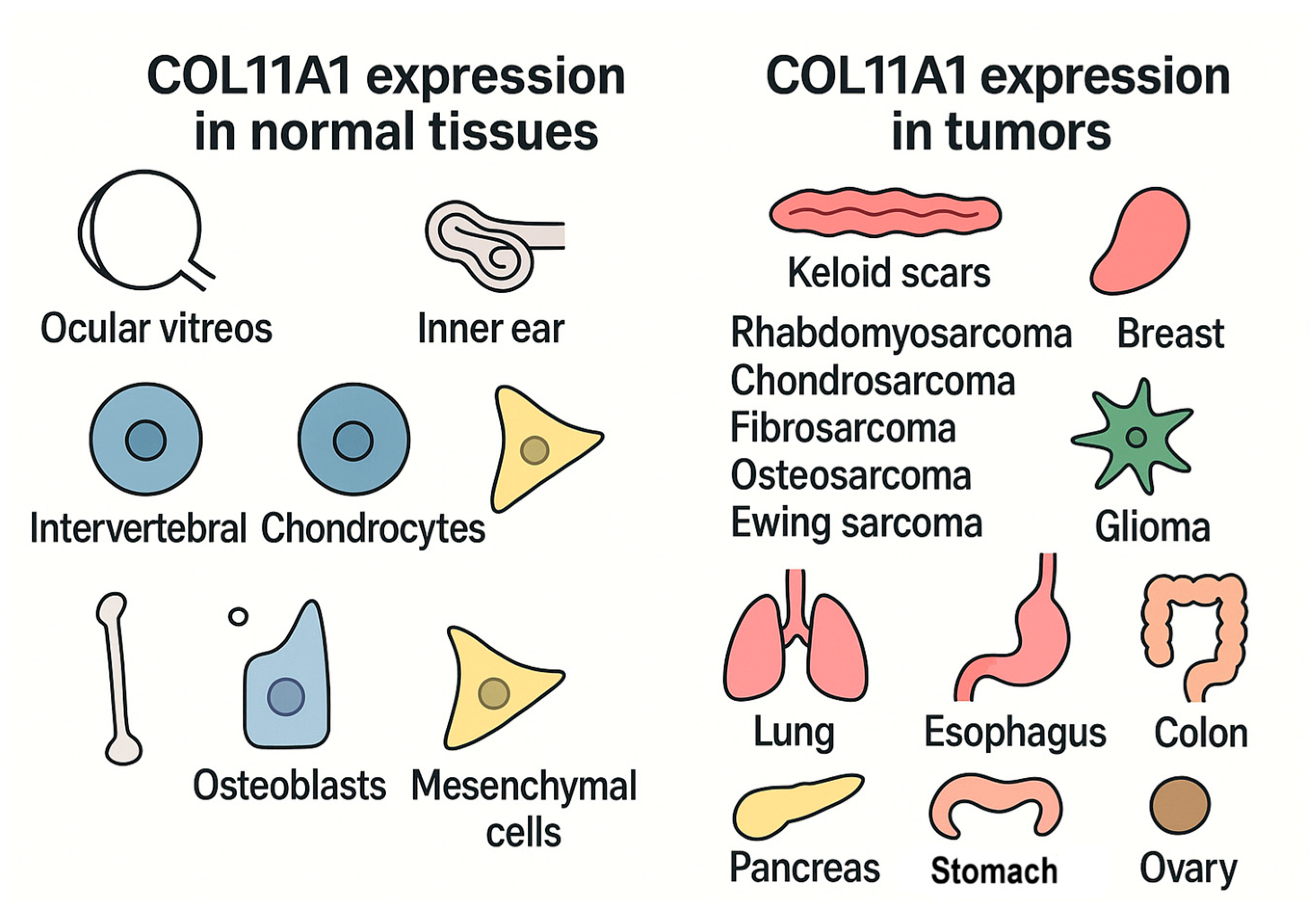 Biomedicines 13 02905 g001