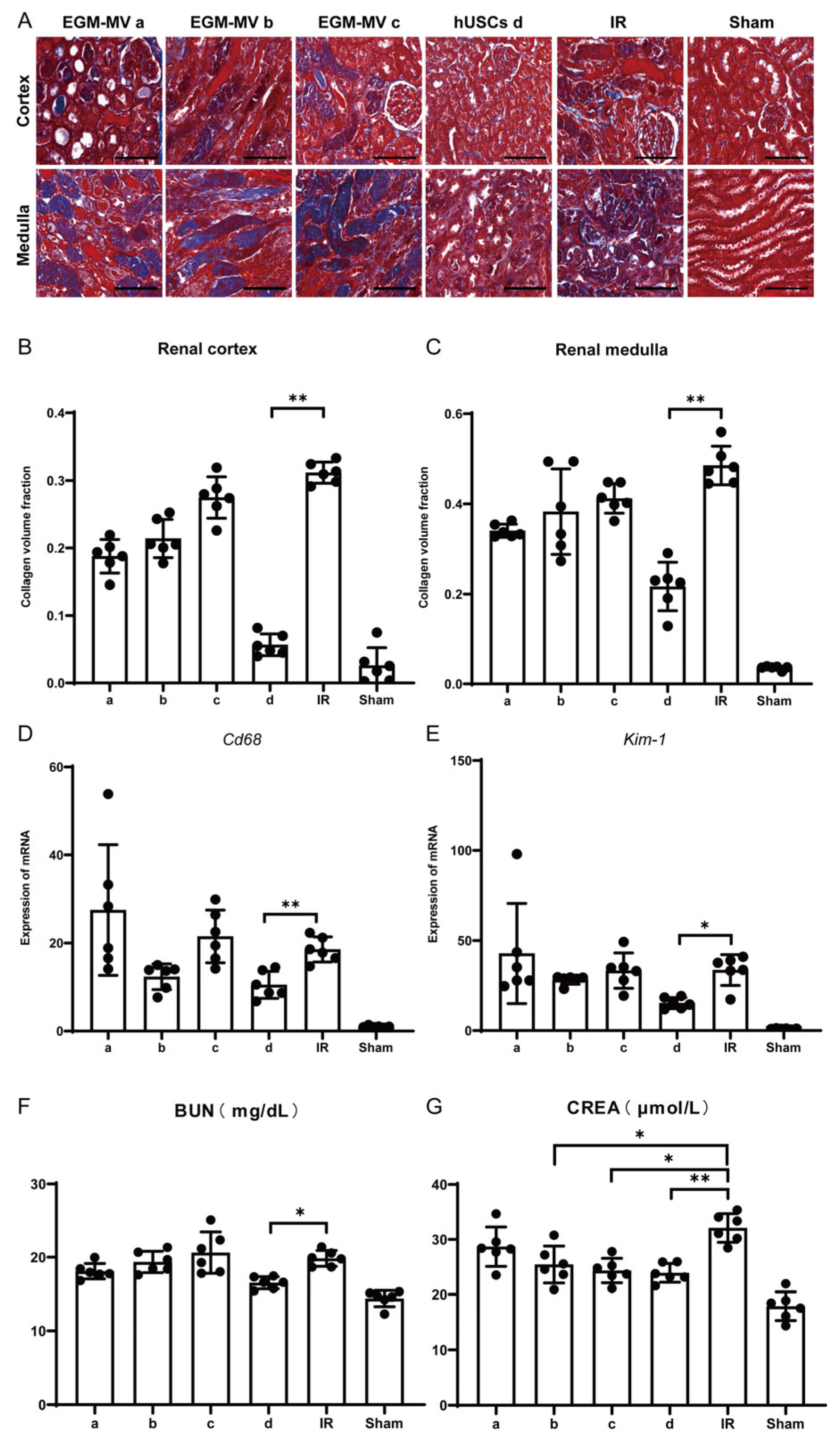 Biomedicines 13 02911 g005