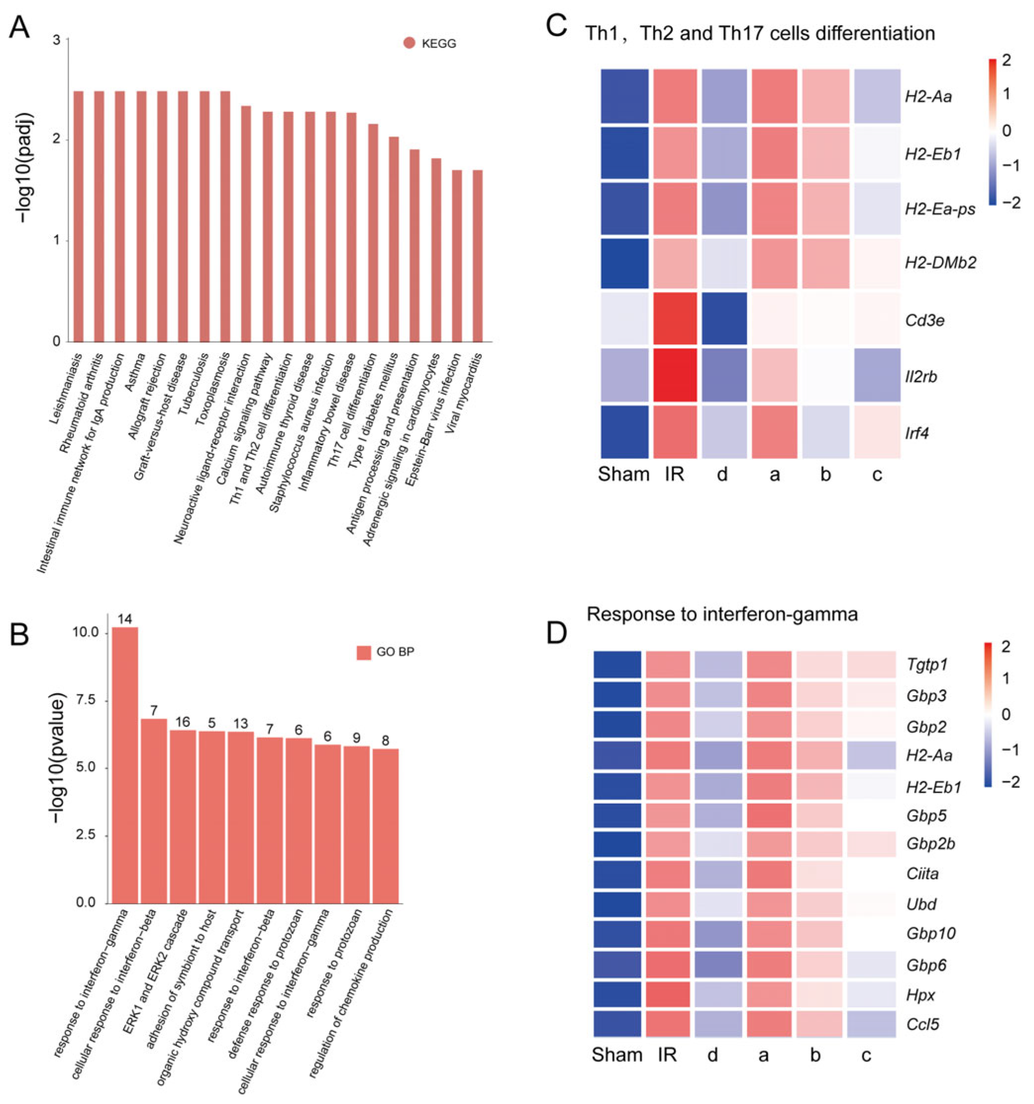 Biomedicines 13 02911 g006