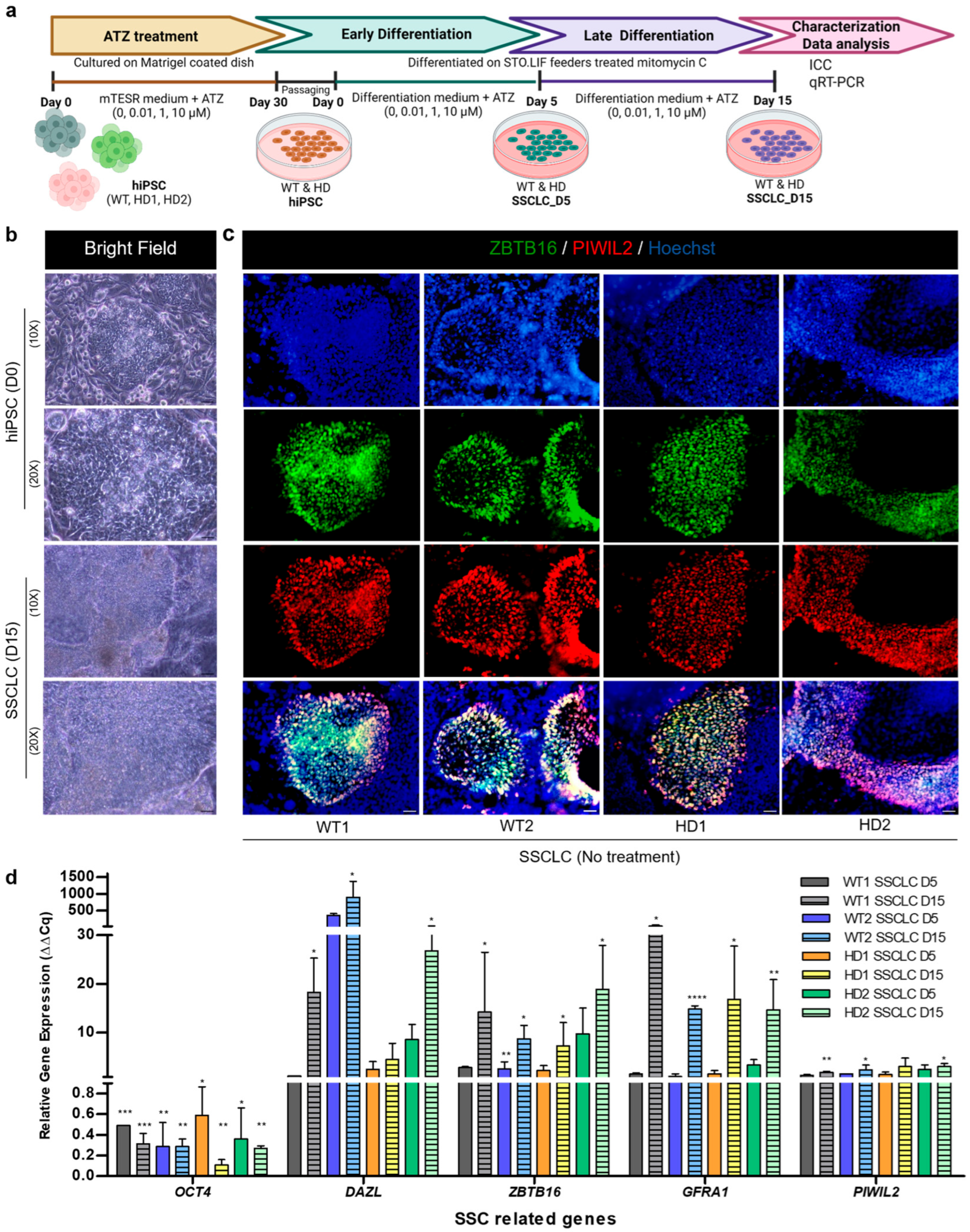 Biomedicines 13 02917 g001 Biomedicines 13 02917 g001