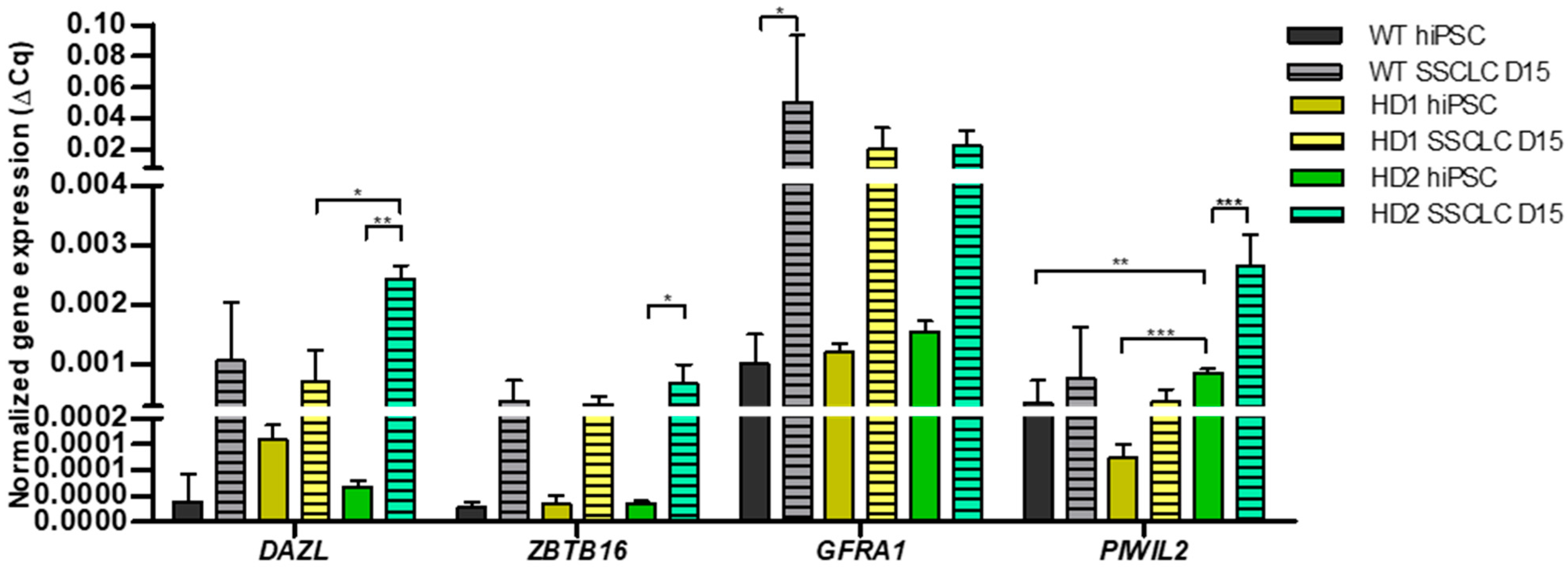 Biomedicines 13 02917 g002 Biomedicines 13 02917 g002