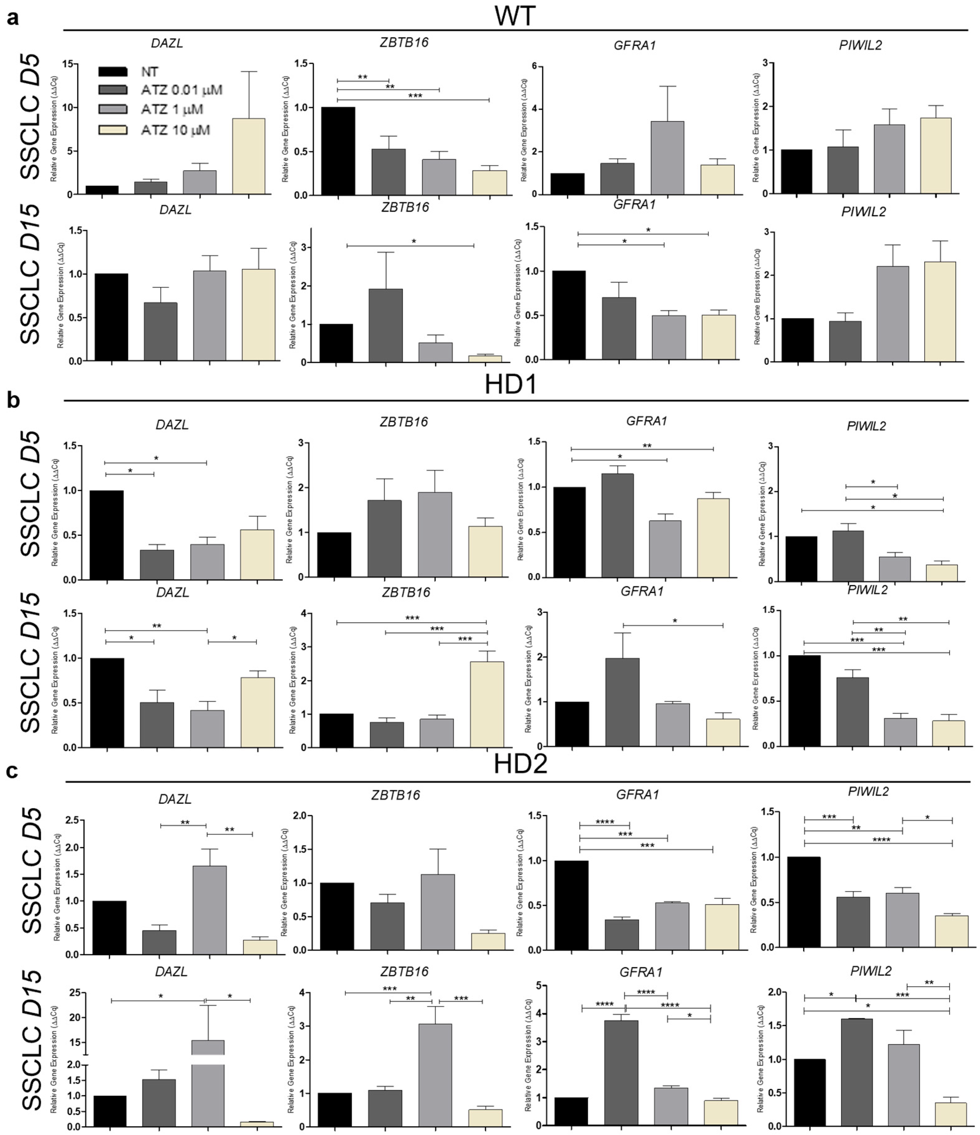 Biomedicines 13 02917 g004a Biomedicines 13 02917 g004a