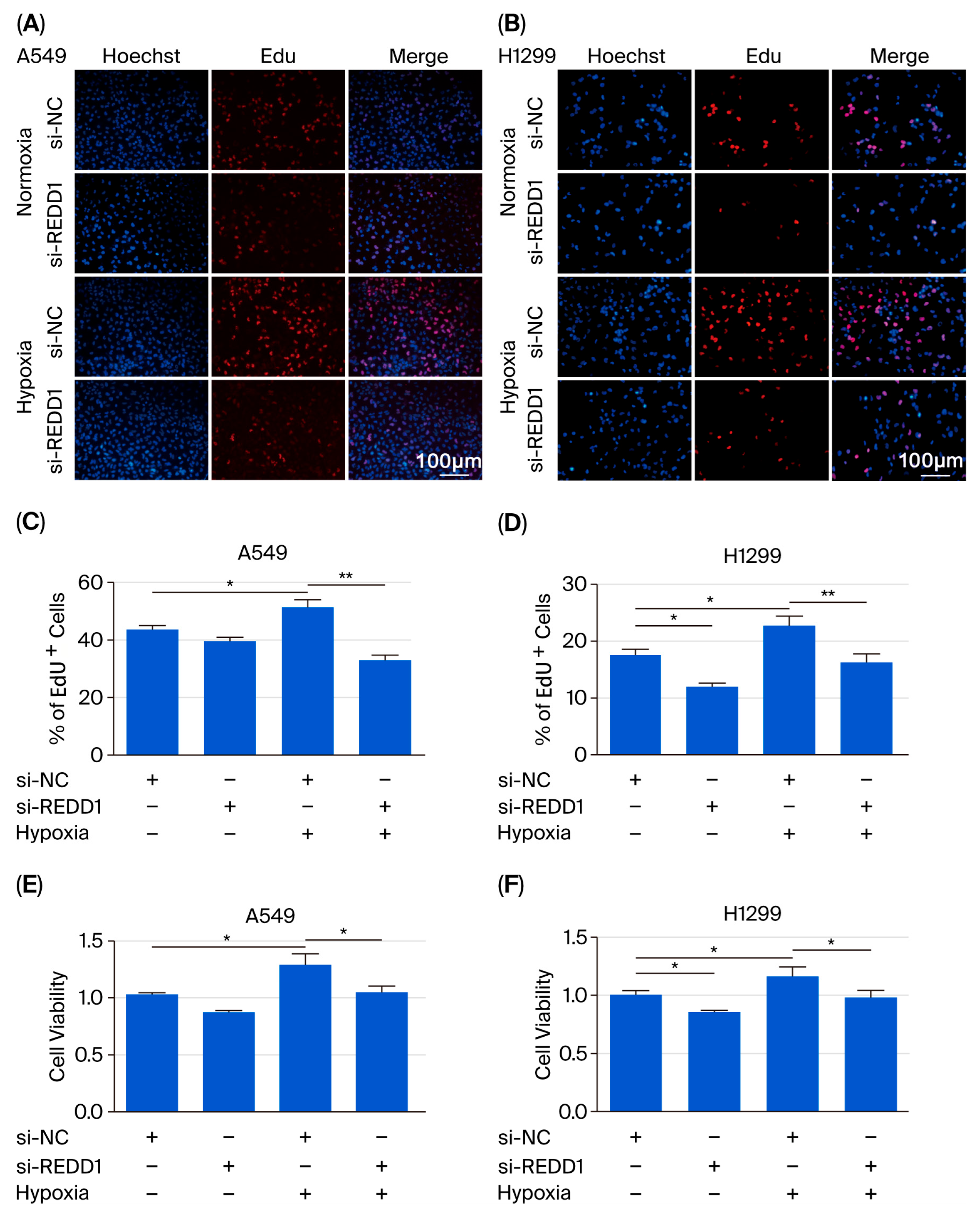Biomedicines 13 02918 g002 Biomedicines 13 02918 g002