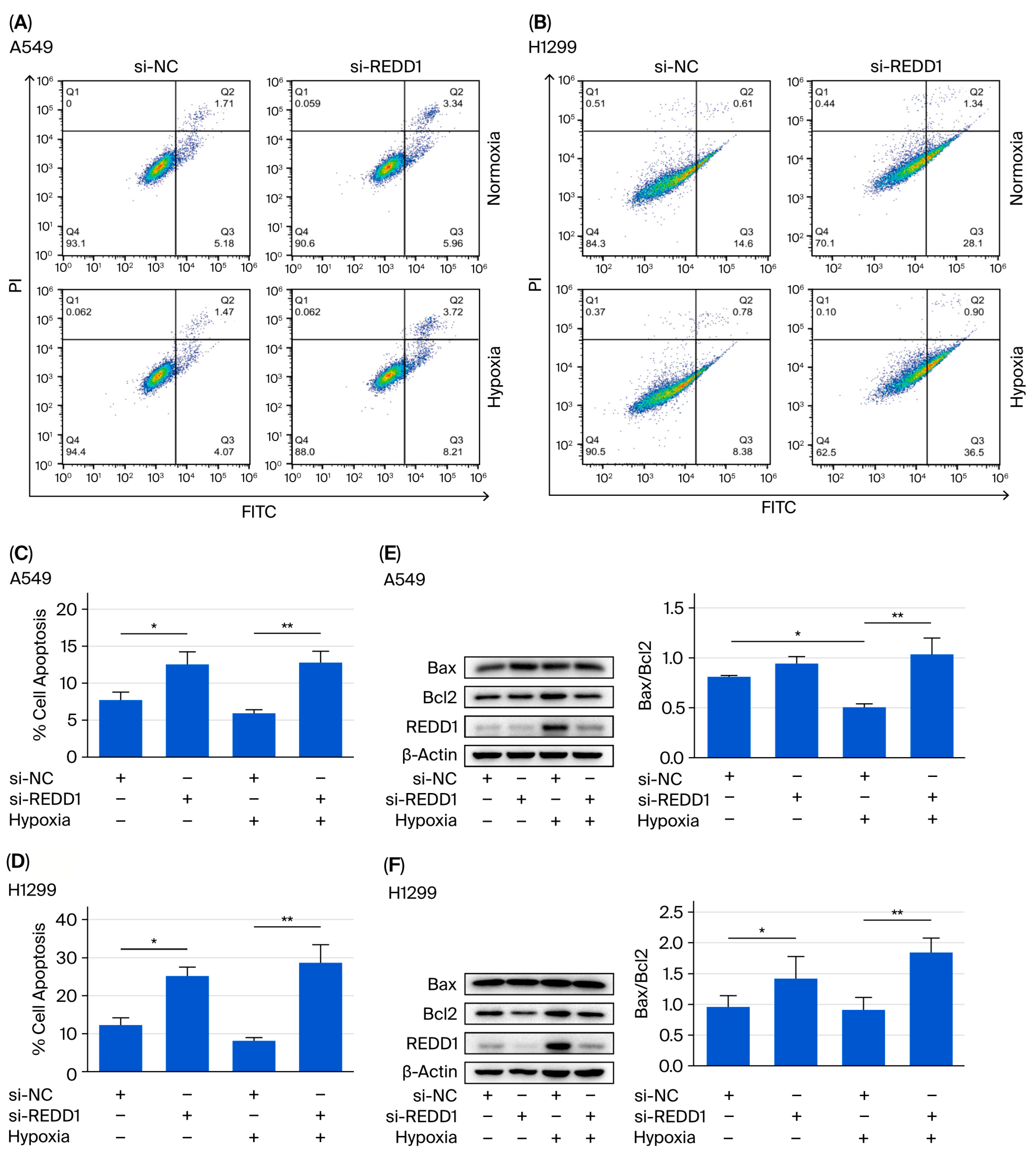 Biomedicines 13 02918 g003 Biomedicines 13 02918 g003