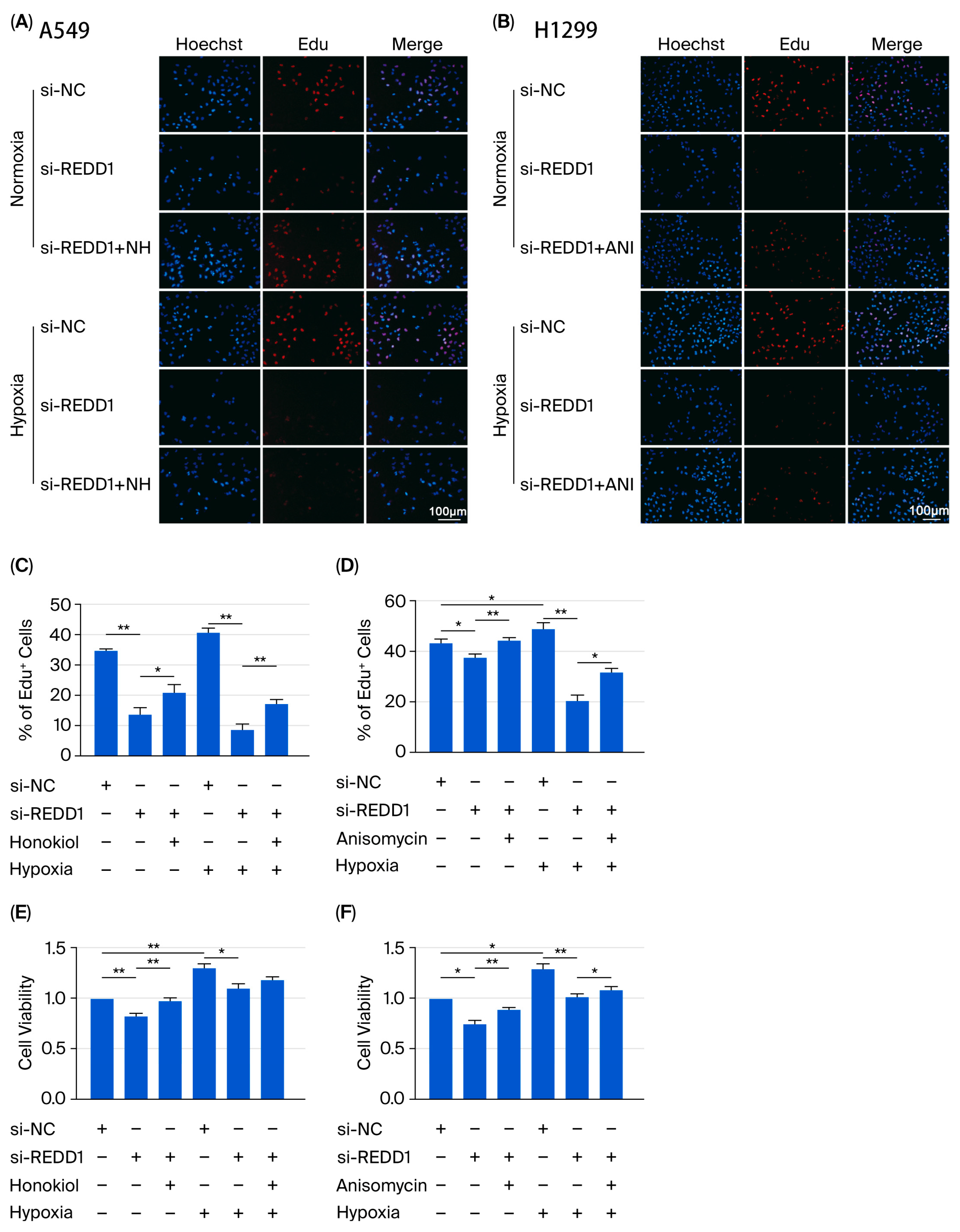 Biomedicines 13 02918 g006a Biomedicines 13 02918 g006a