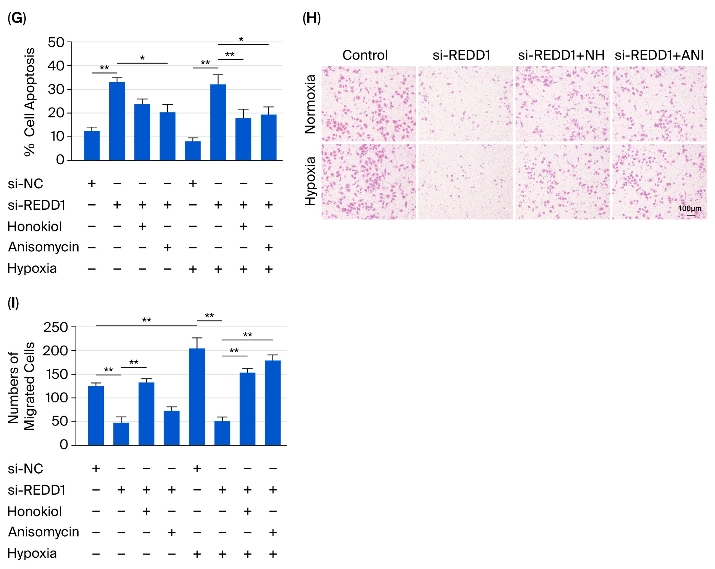 Biomedicines 13 02918 g006b Biomedicines 13 02918 g006b