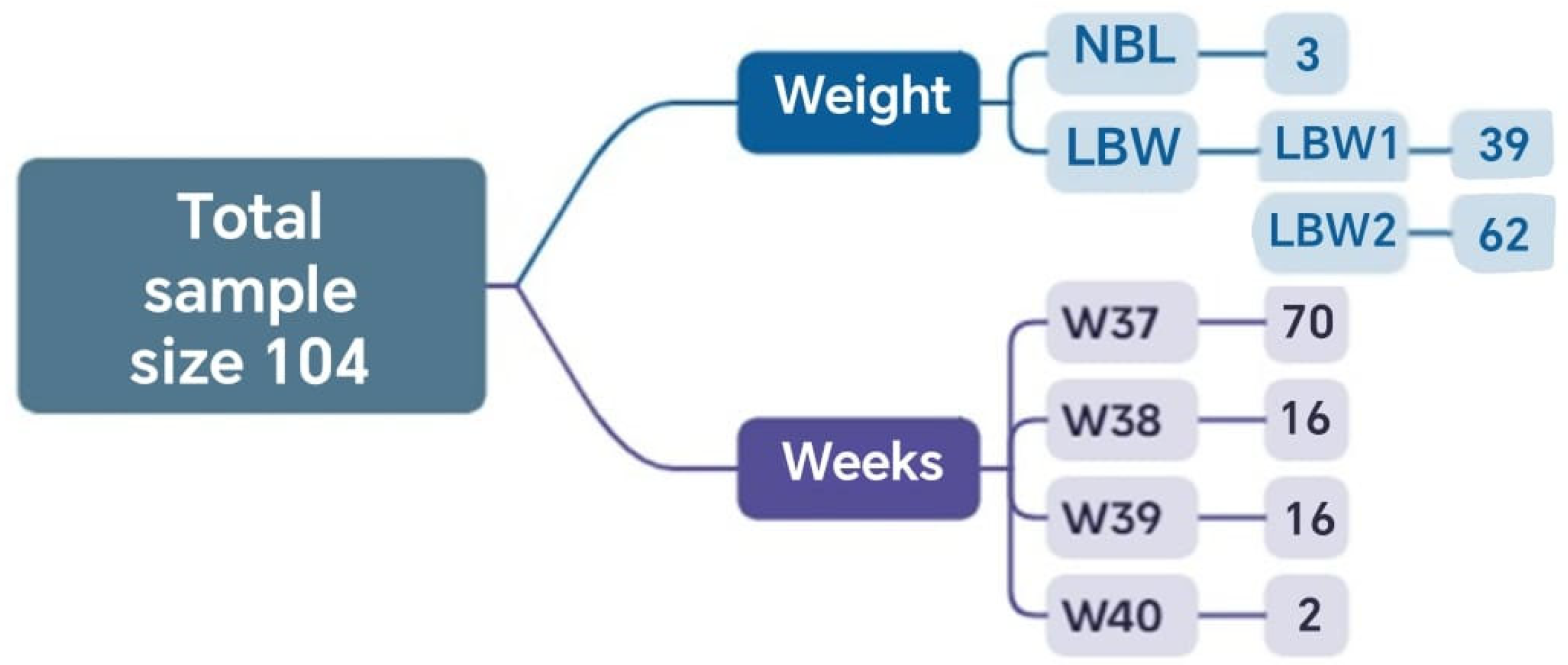 Biomedicines 13 02919 g002