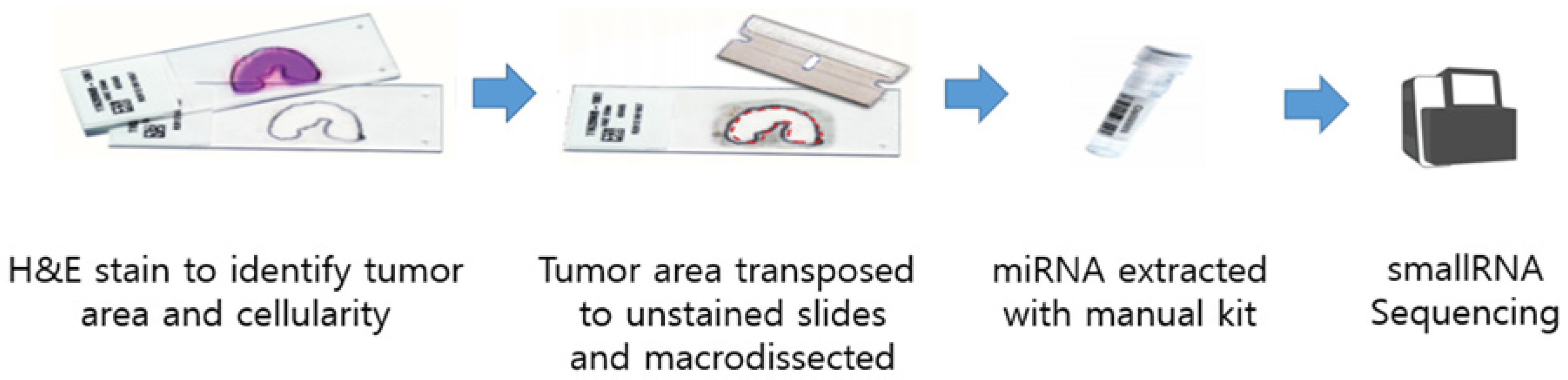Biomedicines 13 02922 g001