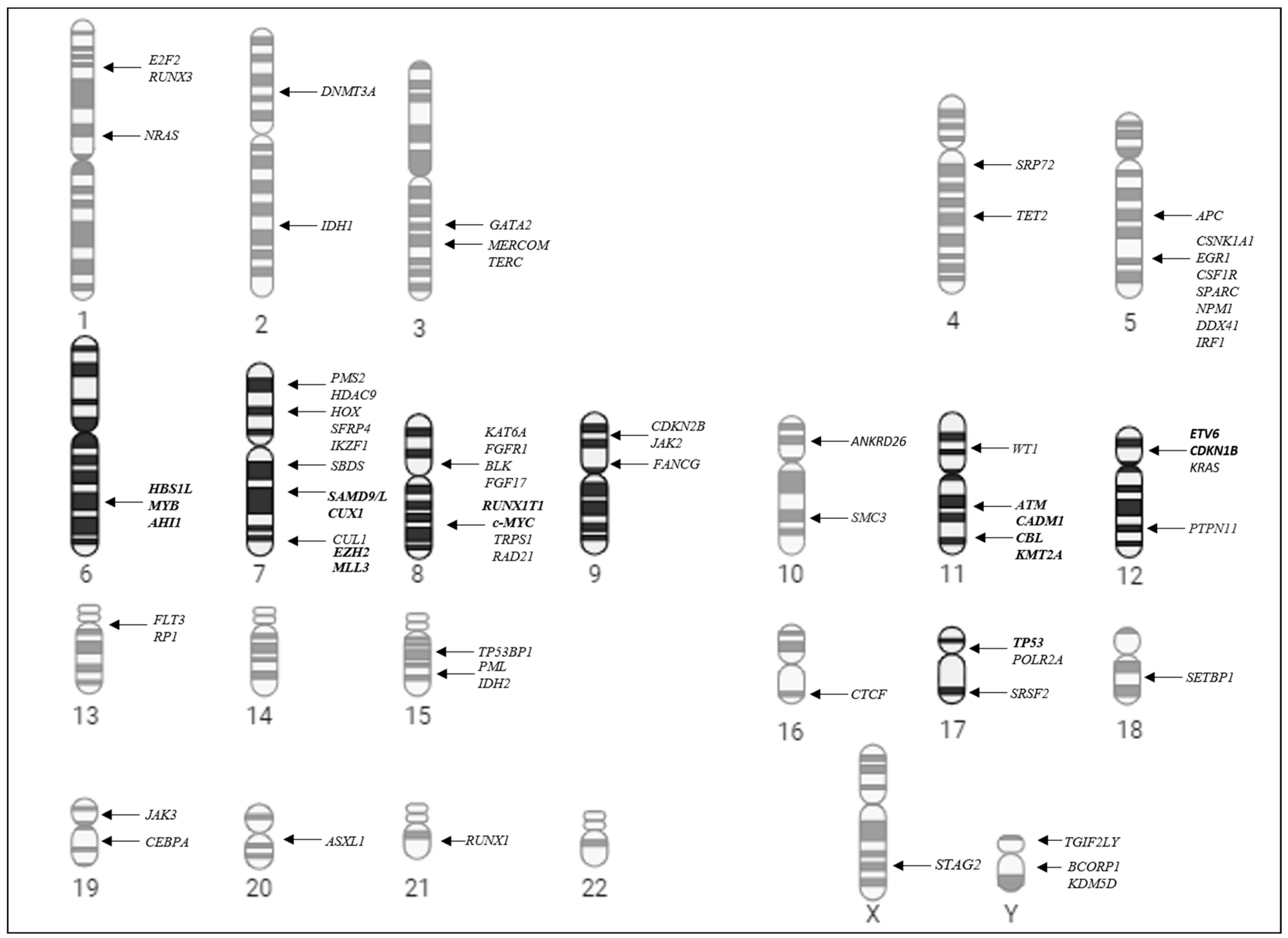 Biomedicines 13 02923 g003
