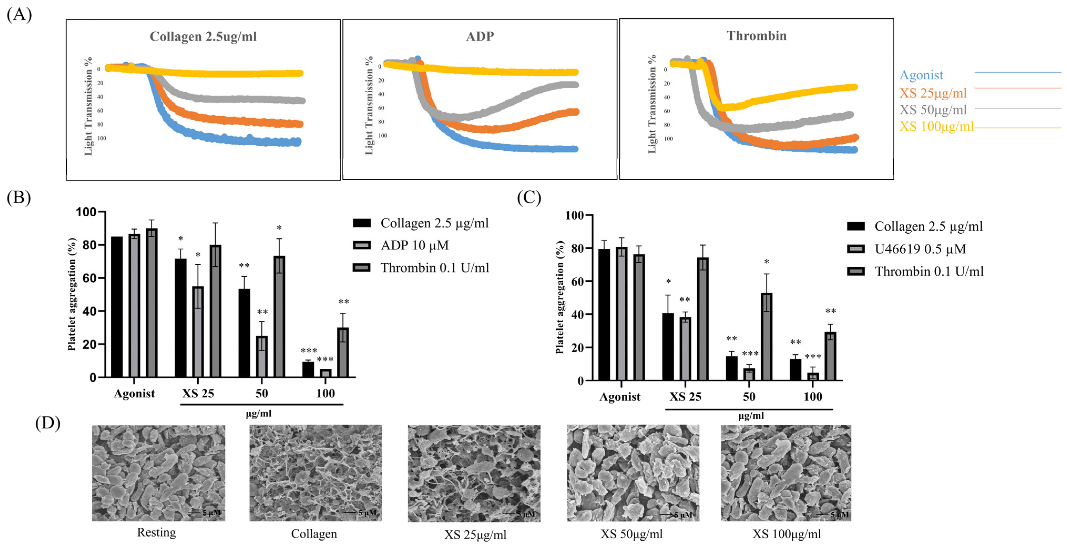 Biomedicines 13 02924 g001