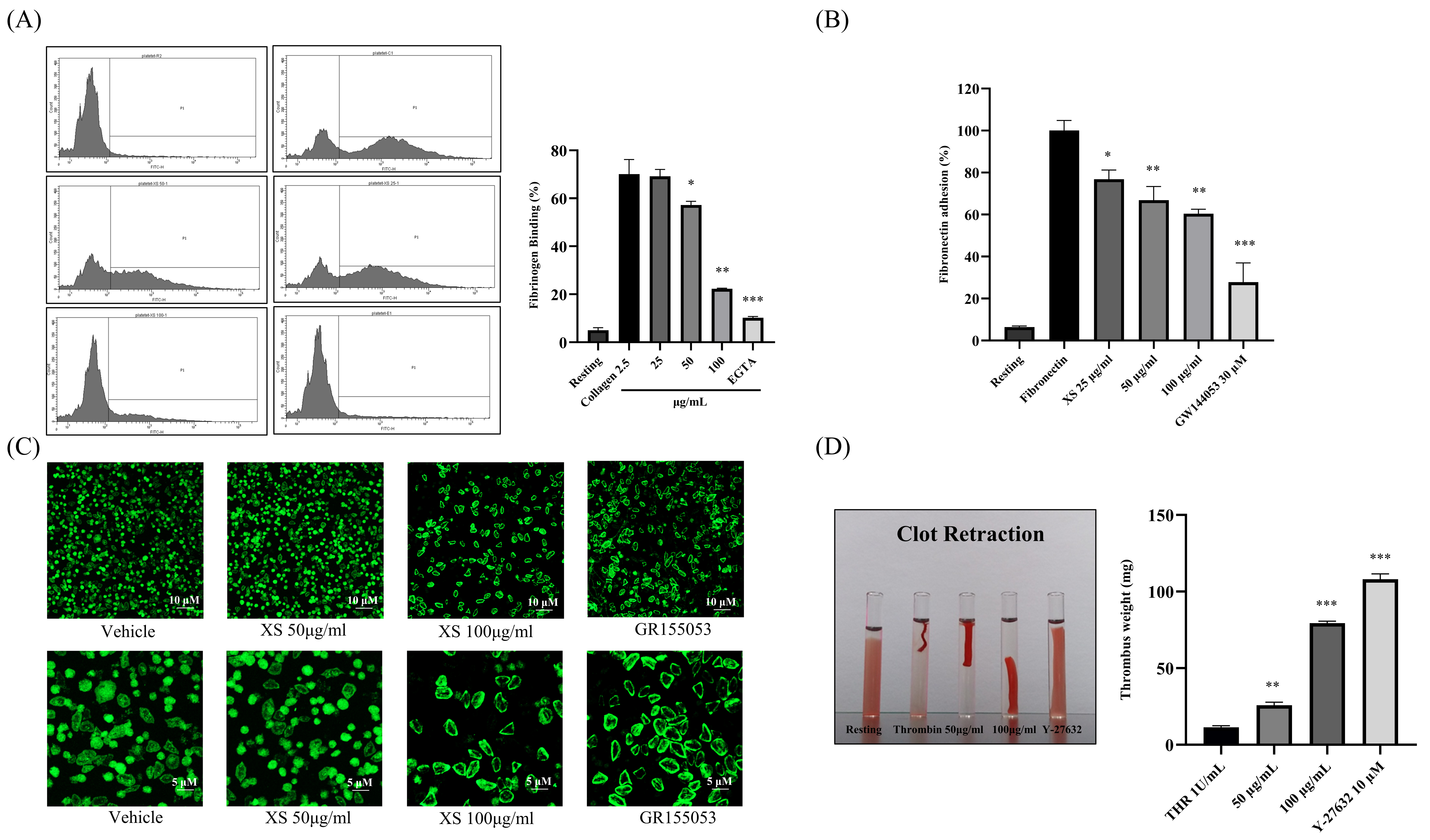 Biomedicines 13 02924 g003
