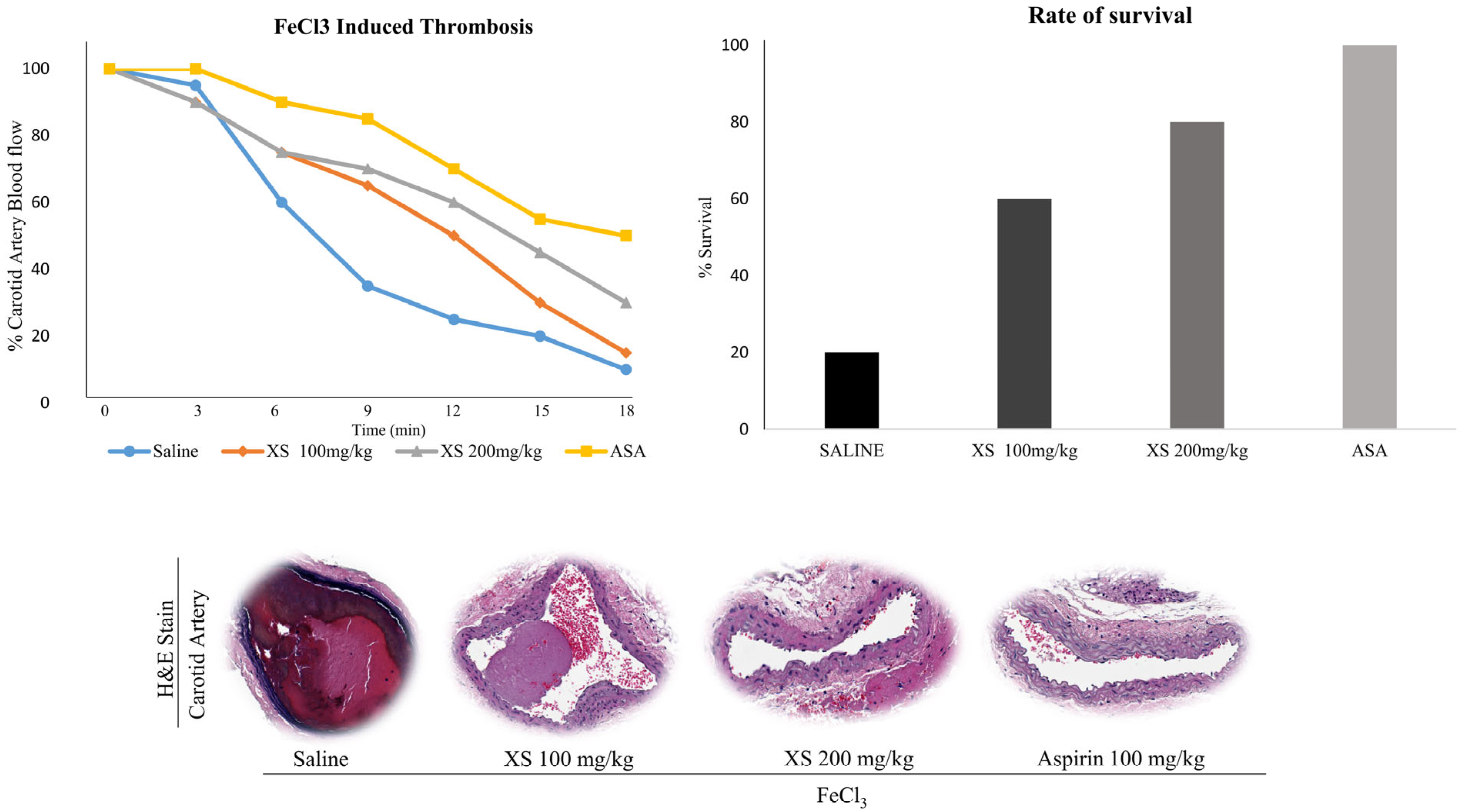 Biomedicines 13 02924 g005