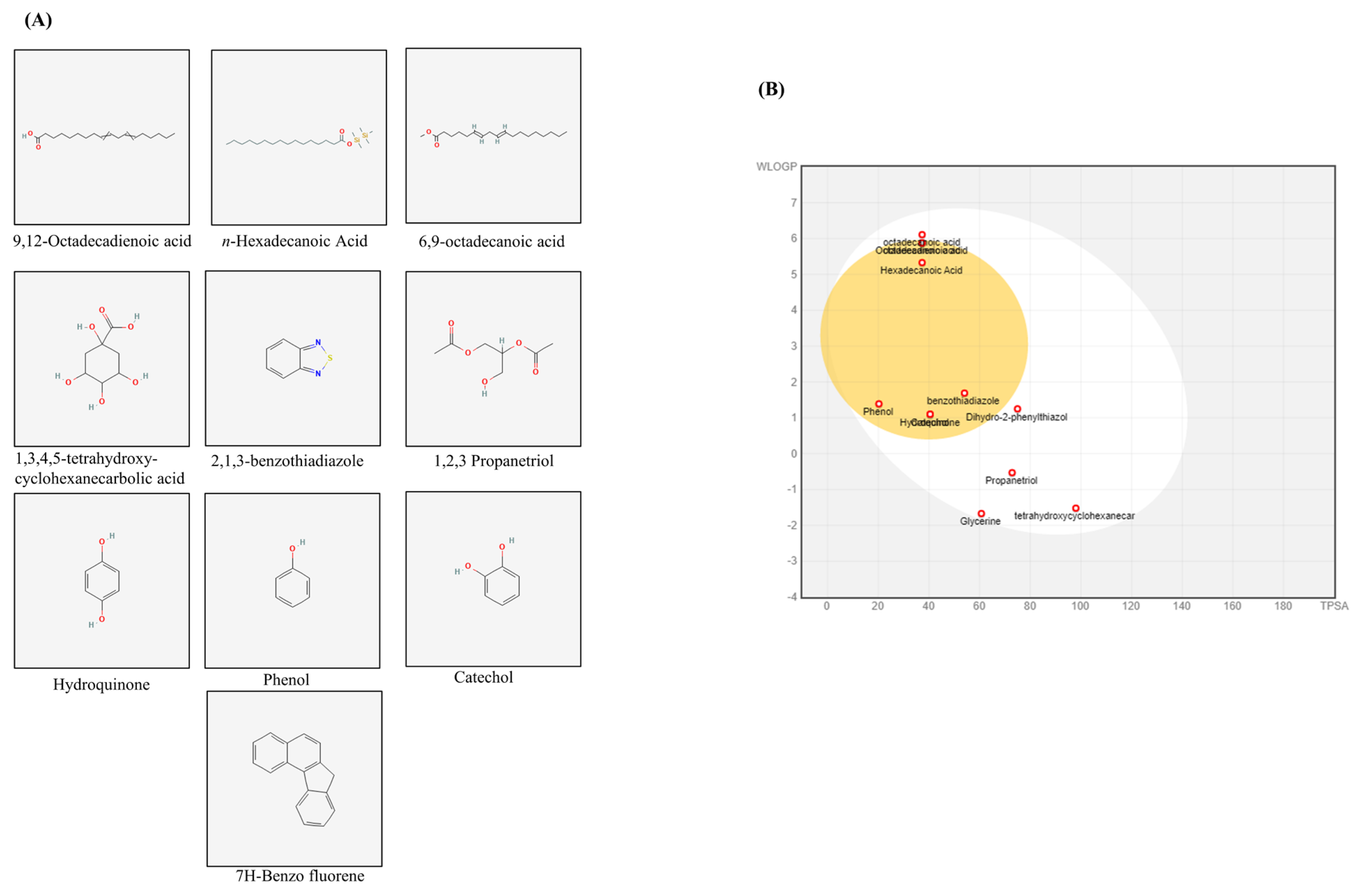 Biomedicines 13 02924 g006