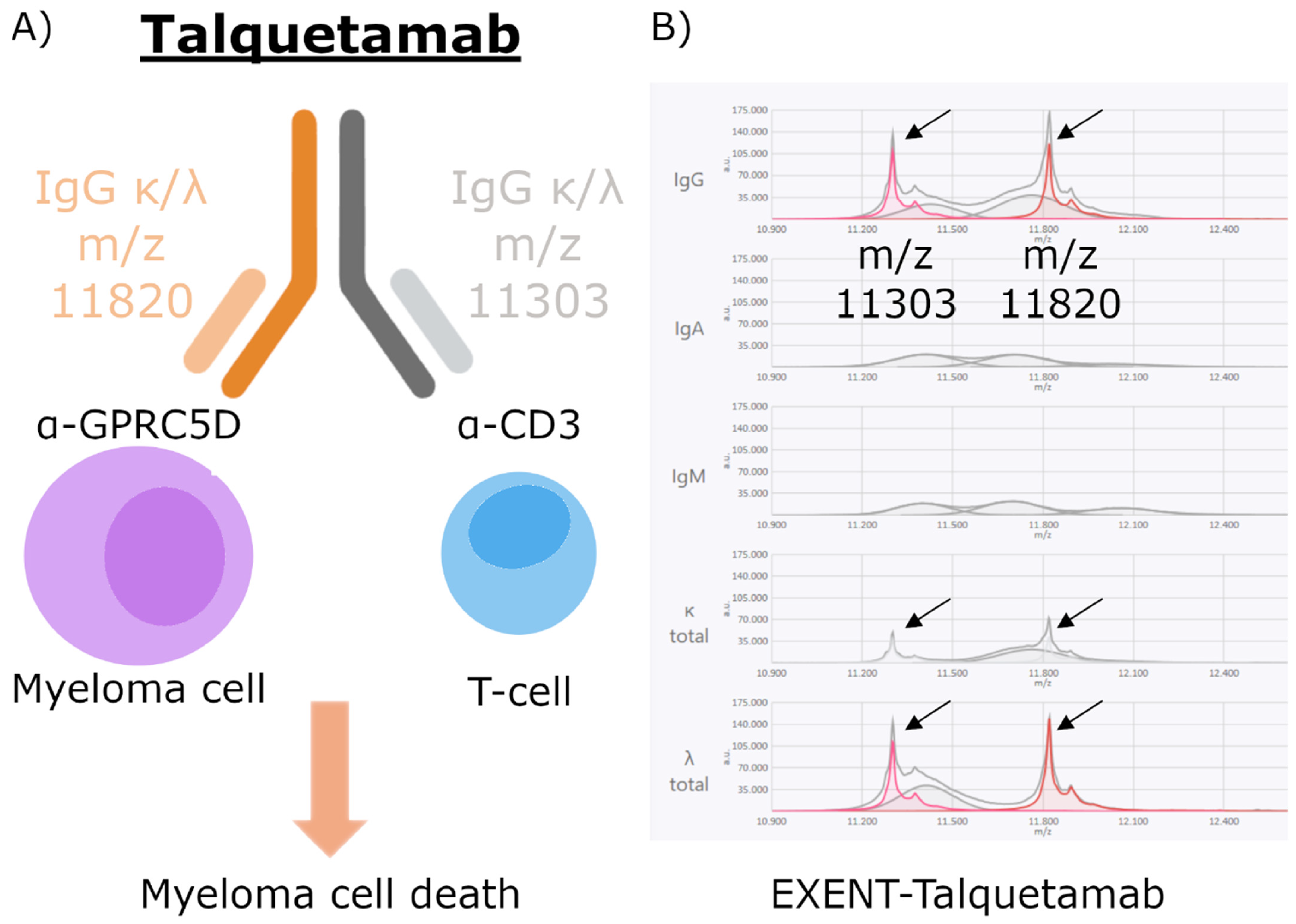 Biomedicines 13 02933 g001