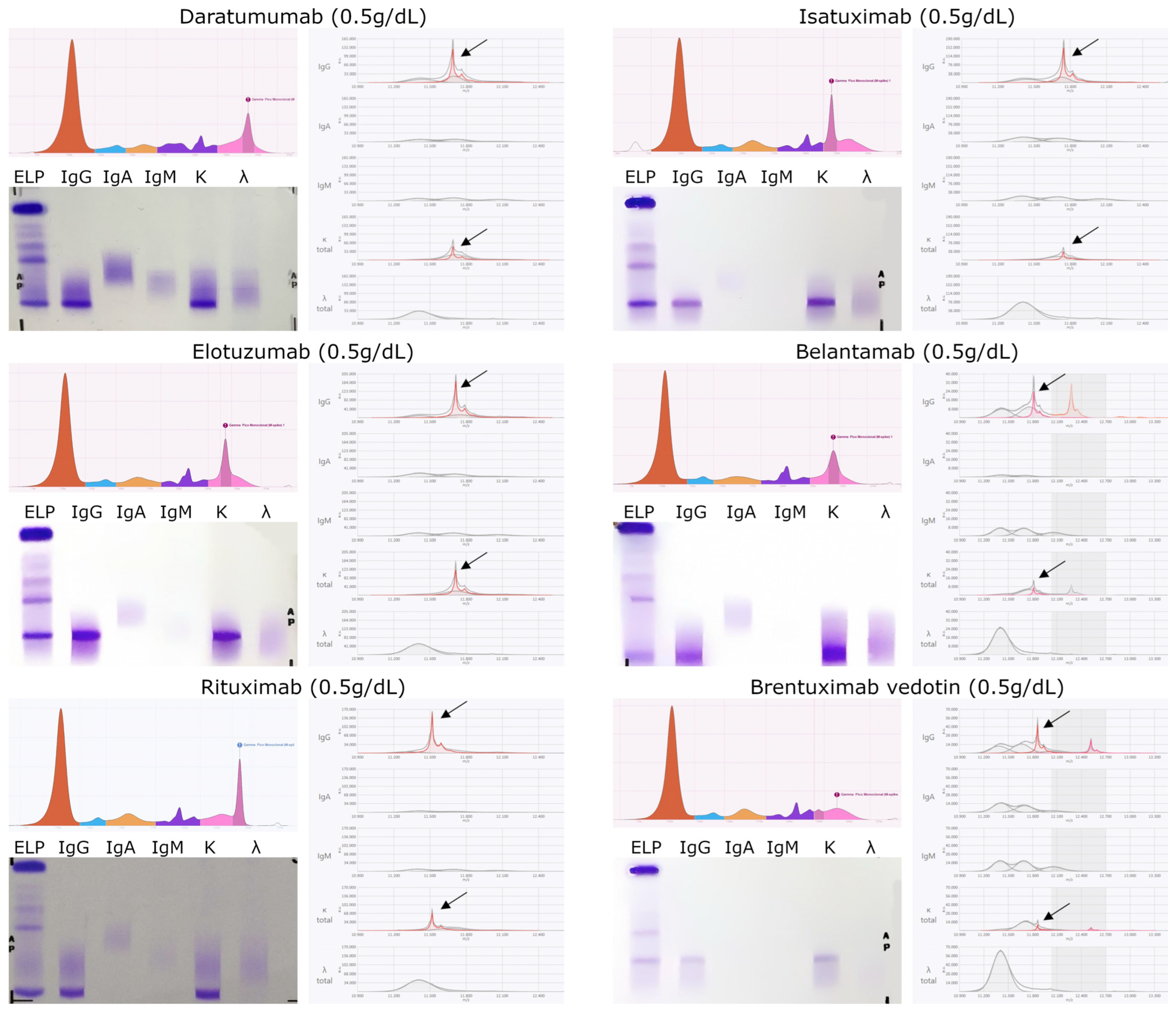Biomedicines 13 02933 g002