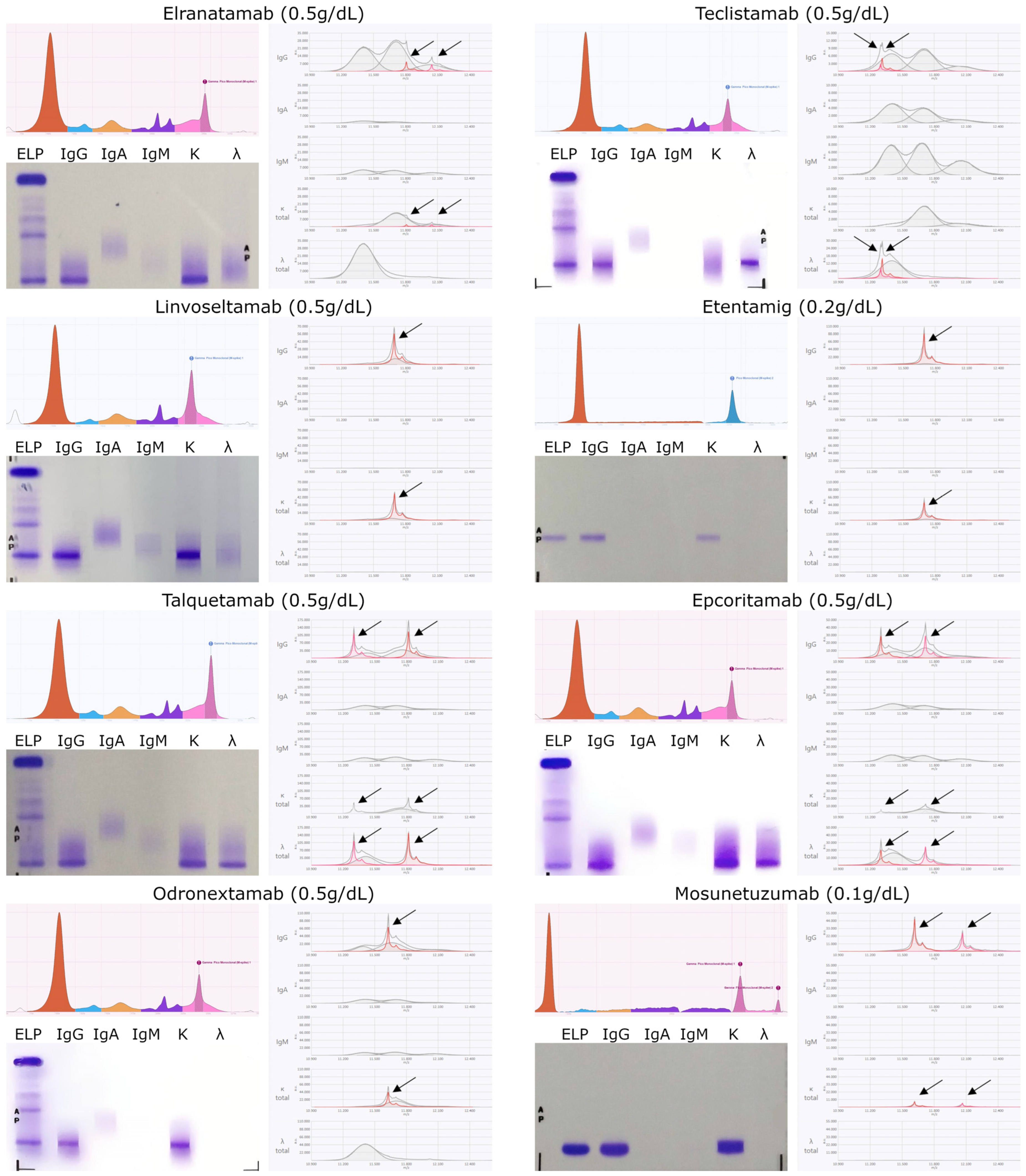 Biomedicines 13 02933 g003